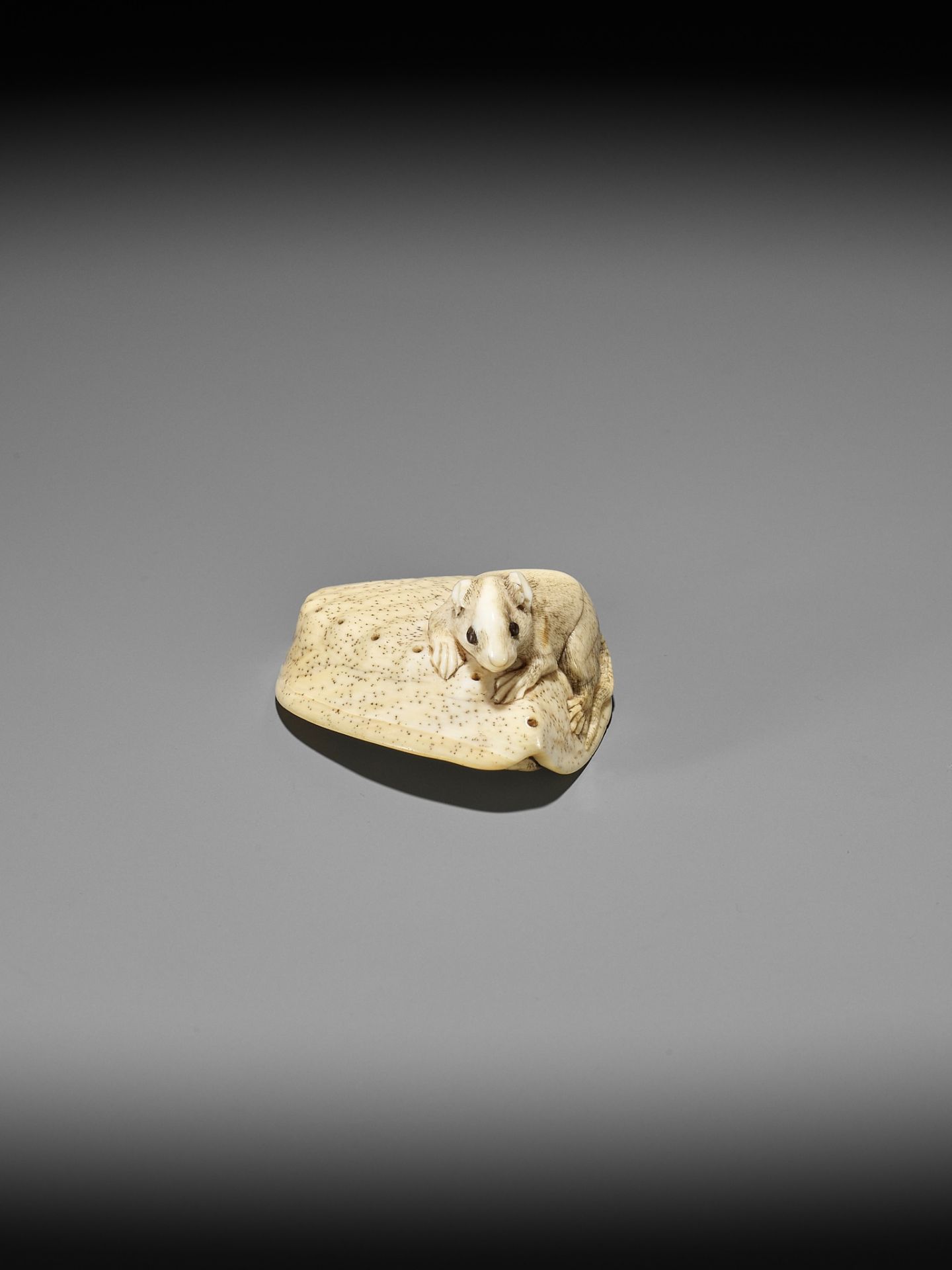 AN IVORY NETSUKE OF A RAT ON AWABI SHELL - Image 8 of 12