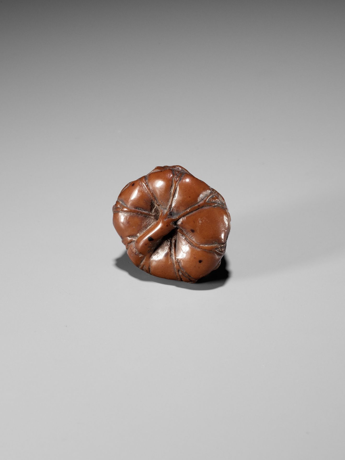 A RARE NUT NETSUKE OF FIVE FROGS ON A LOTUS LEAF, ATTRIBUTED TO SEIMIN - Image 2 of 9