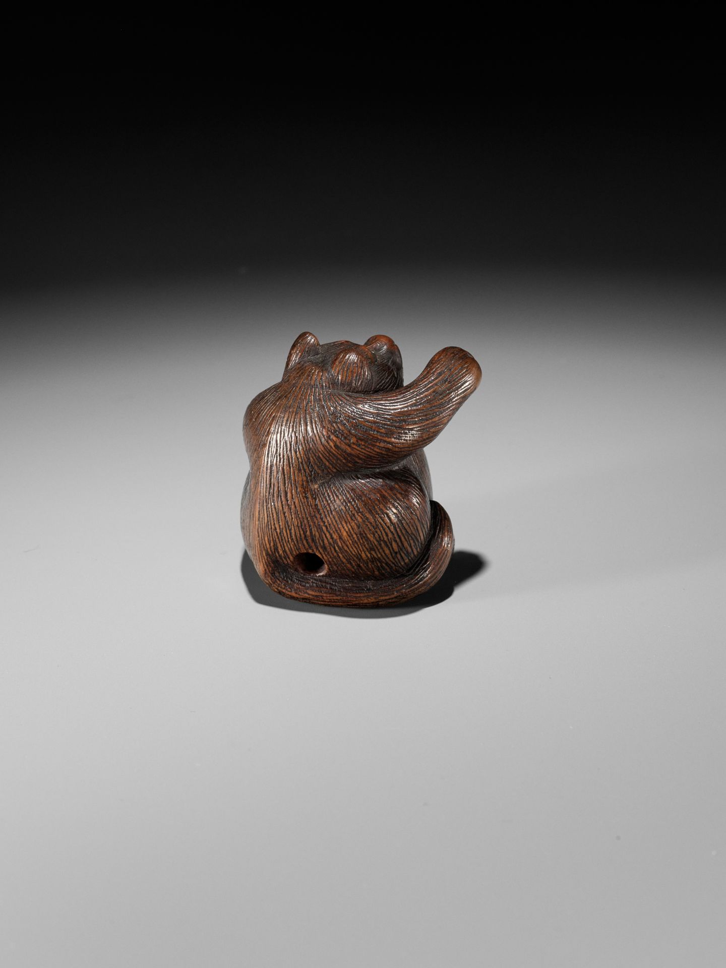 MINKO: A WOOD NETSUKE OF TANUKI HARA NO TSUZUMI - Image 6 of 11