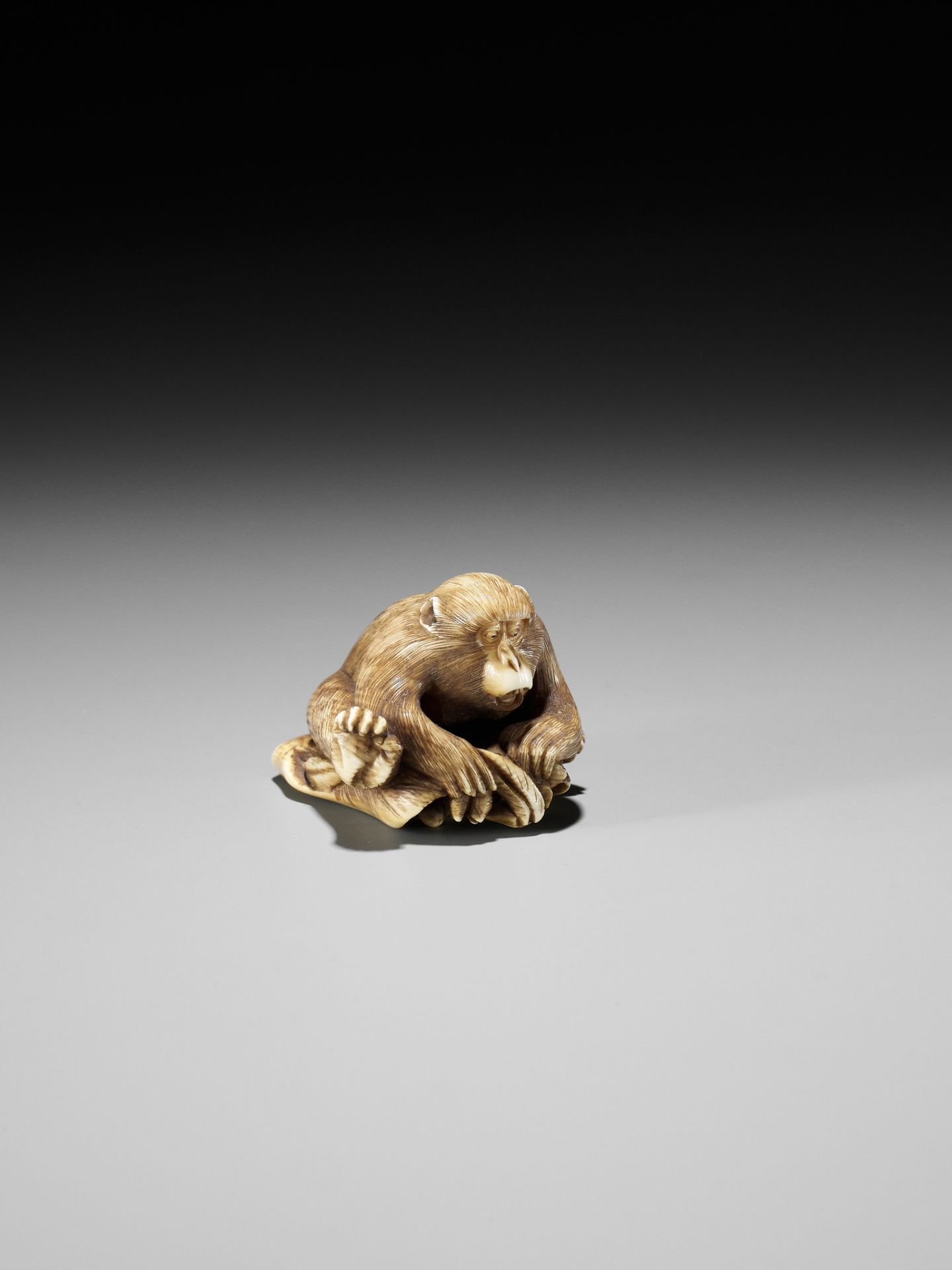 AN IVORY NETSUKE OF A MONKEY, CRAB AND LOTUS - Image 8 of 10