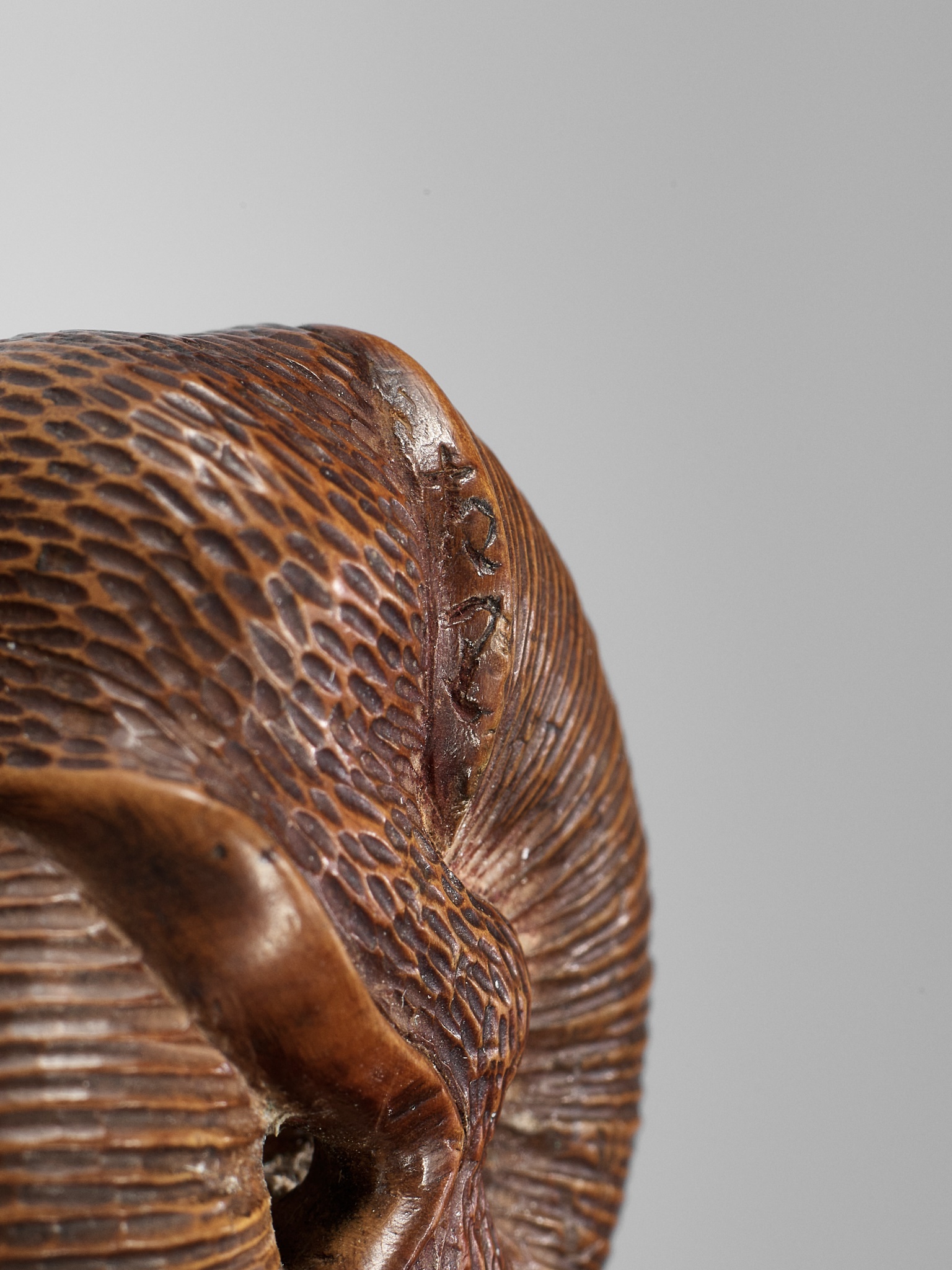 SARI: A FINE WOOD NETSUKE OF A SNAIL EMERGING FROM ITS SHELL - Image 12 of 12