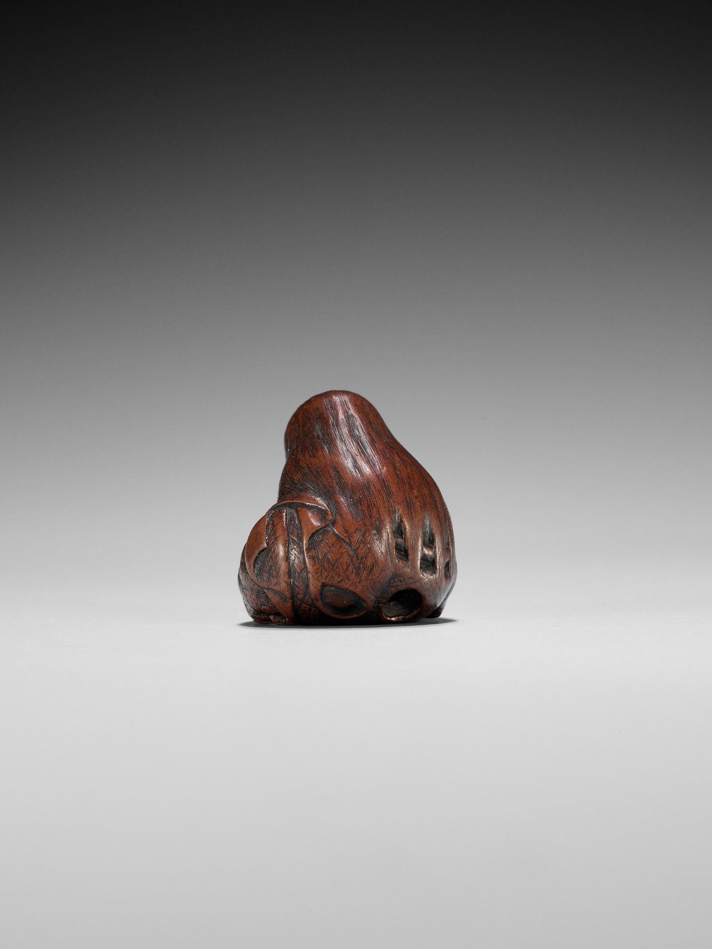 TOSHIKAZU: A NAGOYA SCHOOL WOOD NETSUKE OF A SEATED SLEEPING SHOJO - Image 4 of 12