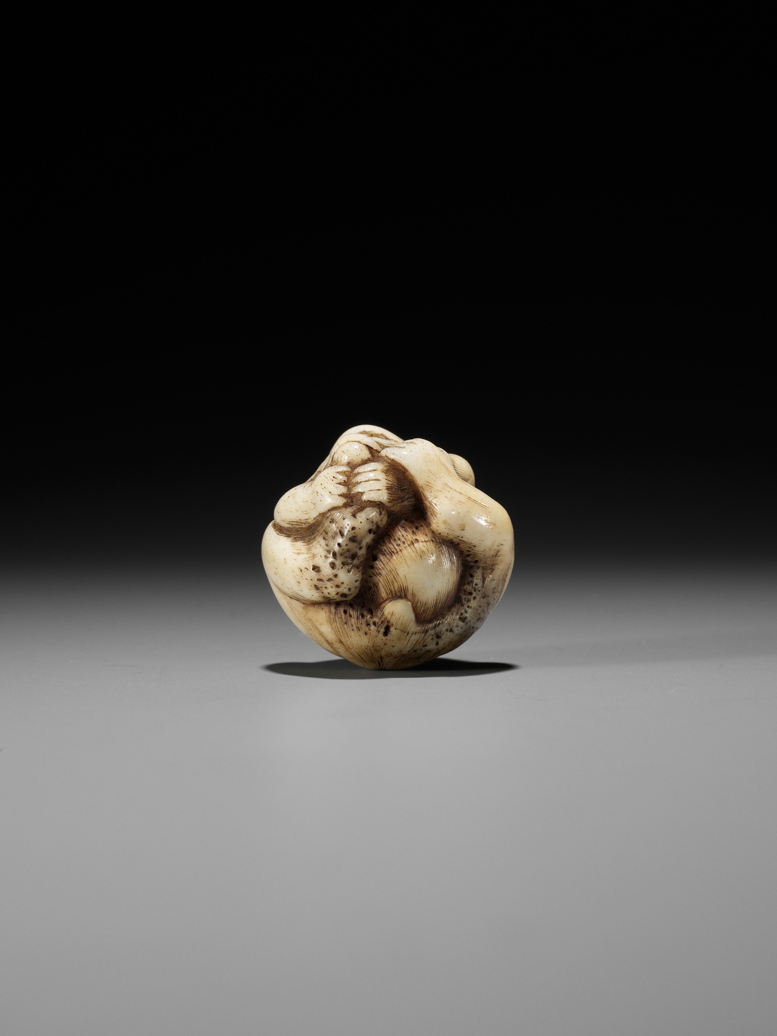 A RARE STAG ANTLER NETSUKE OF A COILED MONKEY - Image 10 of 10