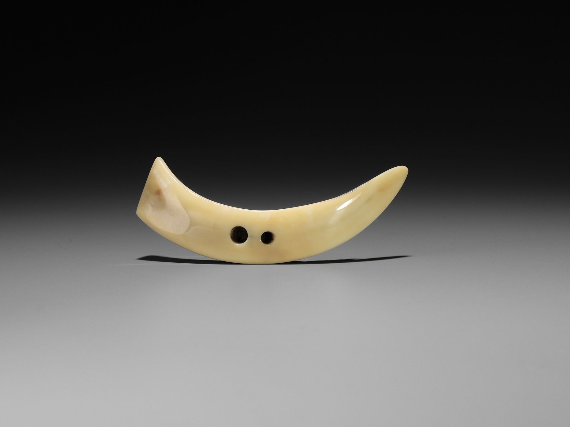 SEIYODO BUNSHOJO: A SUBLIME BOAR TUSK NETSUKE WITH SPIDER AND FERNS - Image 7 of 9