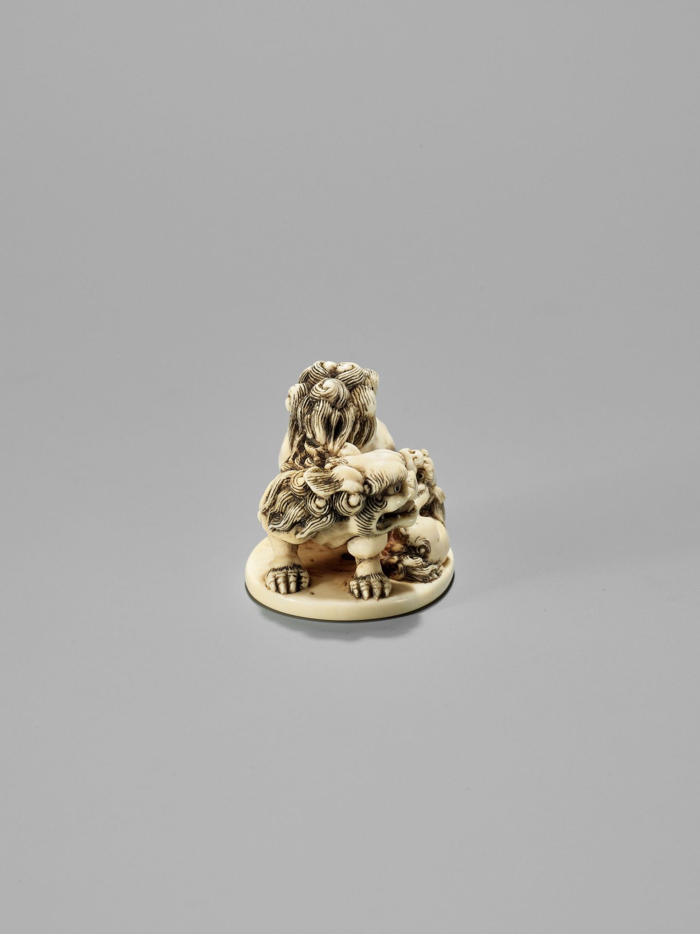 TOSHINAGA: AN IVORY NETSUKE OF A SHISHI WITH YOUNG - Image 8 of 12