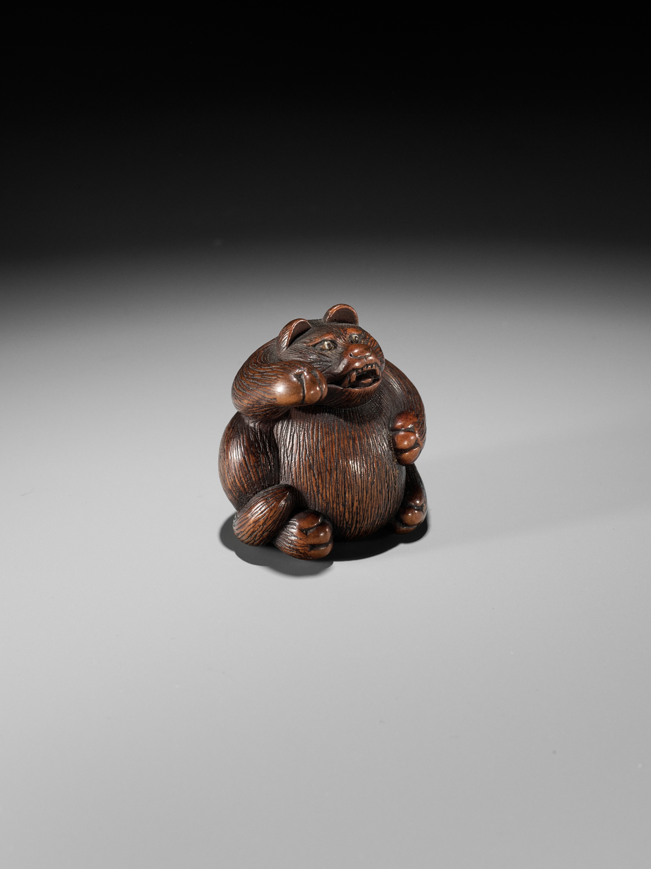 MINKO: A WOOD NETSUKE OF TANUKI HARA NO TSUZUMI - Image 7 of 11