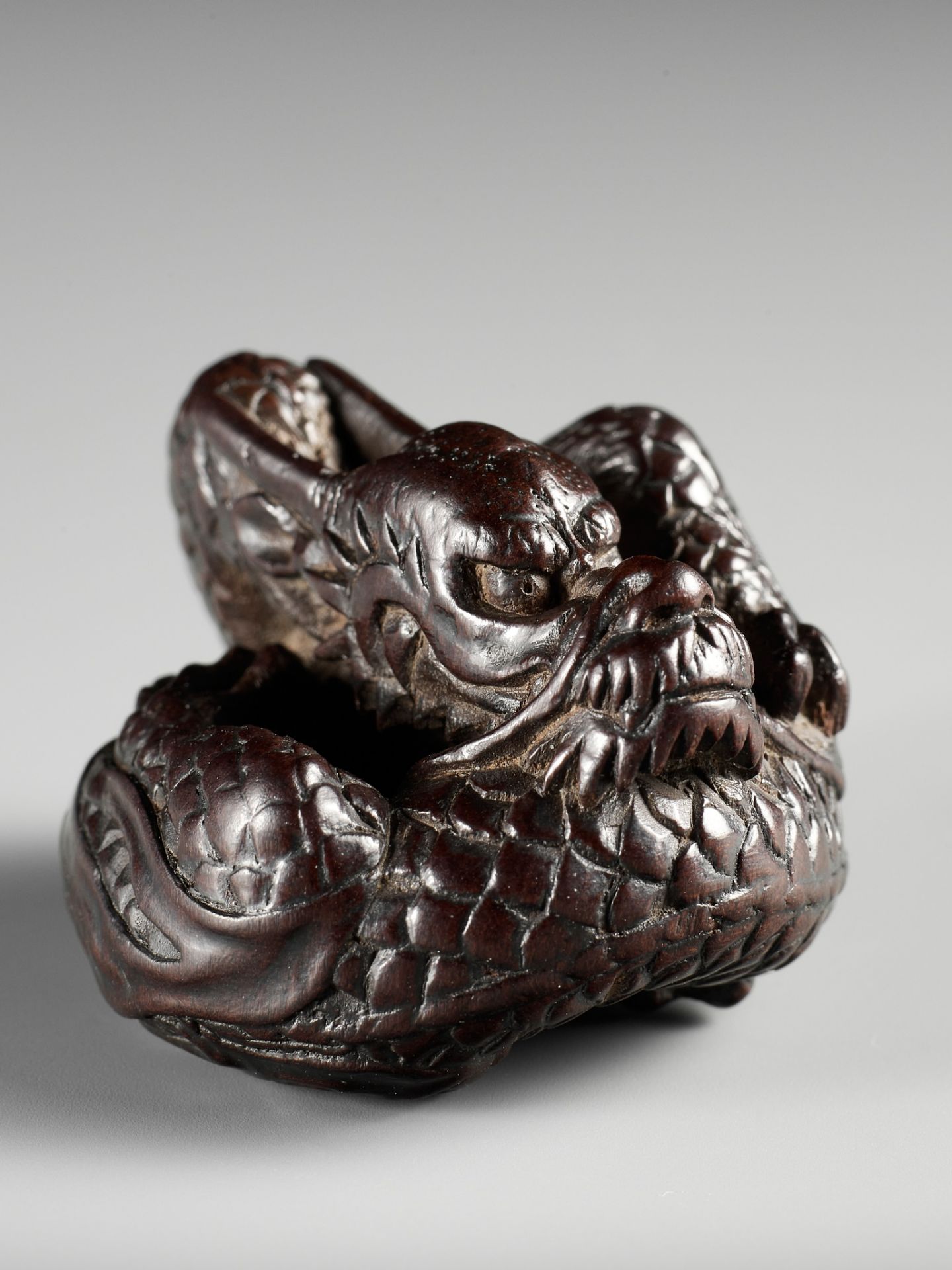 A SUPERB WOOD NETSUKE OF A COILED DRAGON, ATTRIBUTED TO TAMETAKA