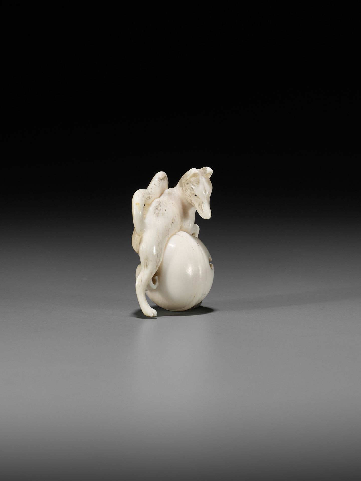 RANTEI: A FINE IVORY NETSUKE OF A FOX WITH TEMPLE BELL - Image 8 of 12