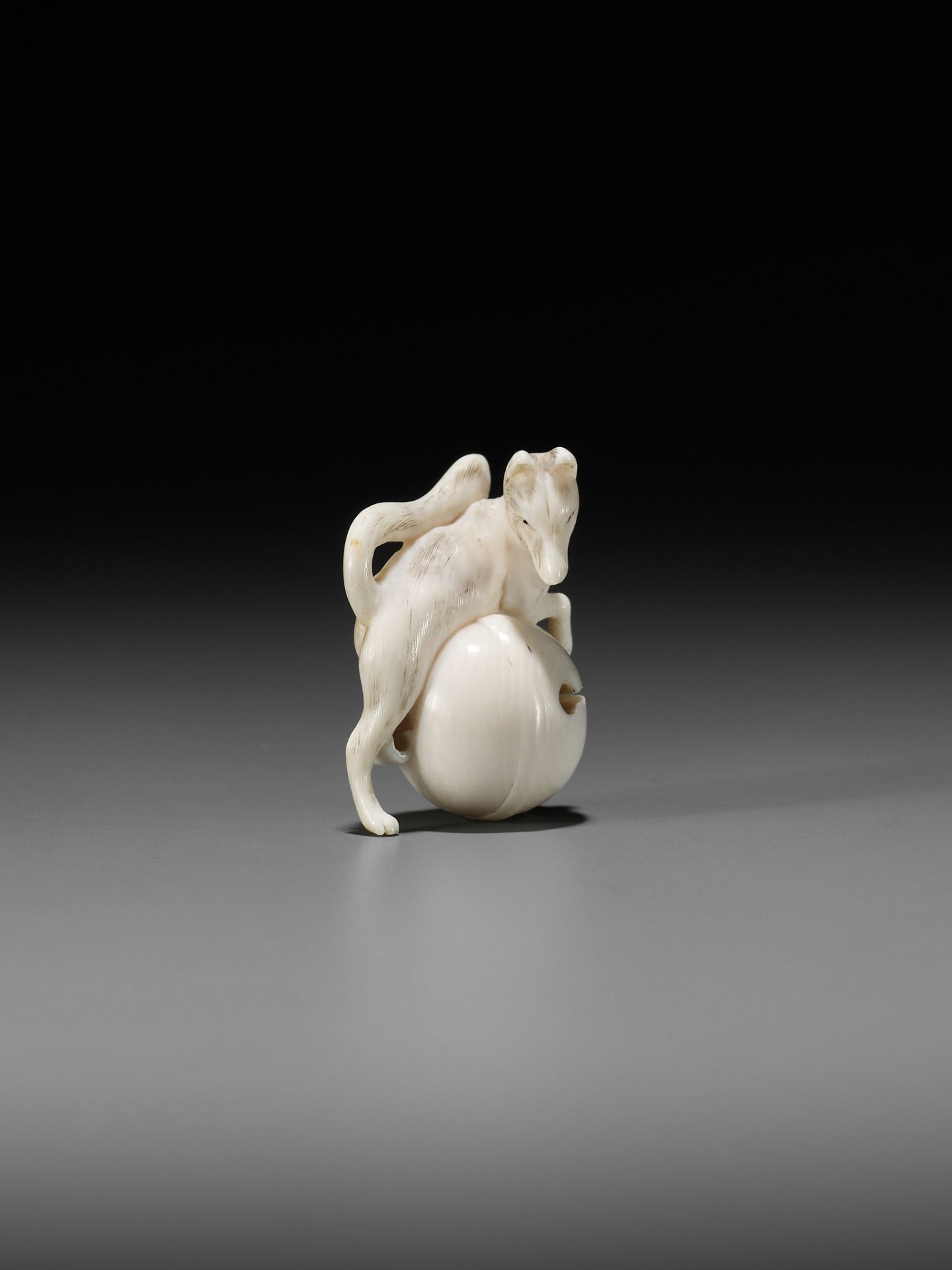 RANTEI: A FINE IVORY NETSUKE OF A FOX WITH TEMPLE BELL - Image 4 of 12