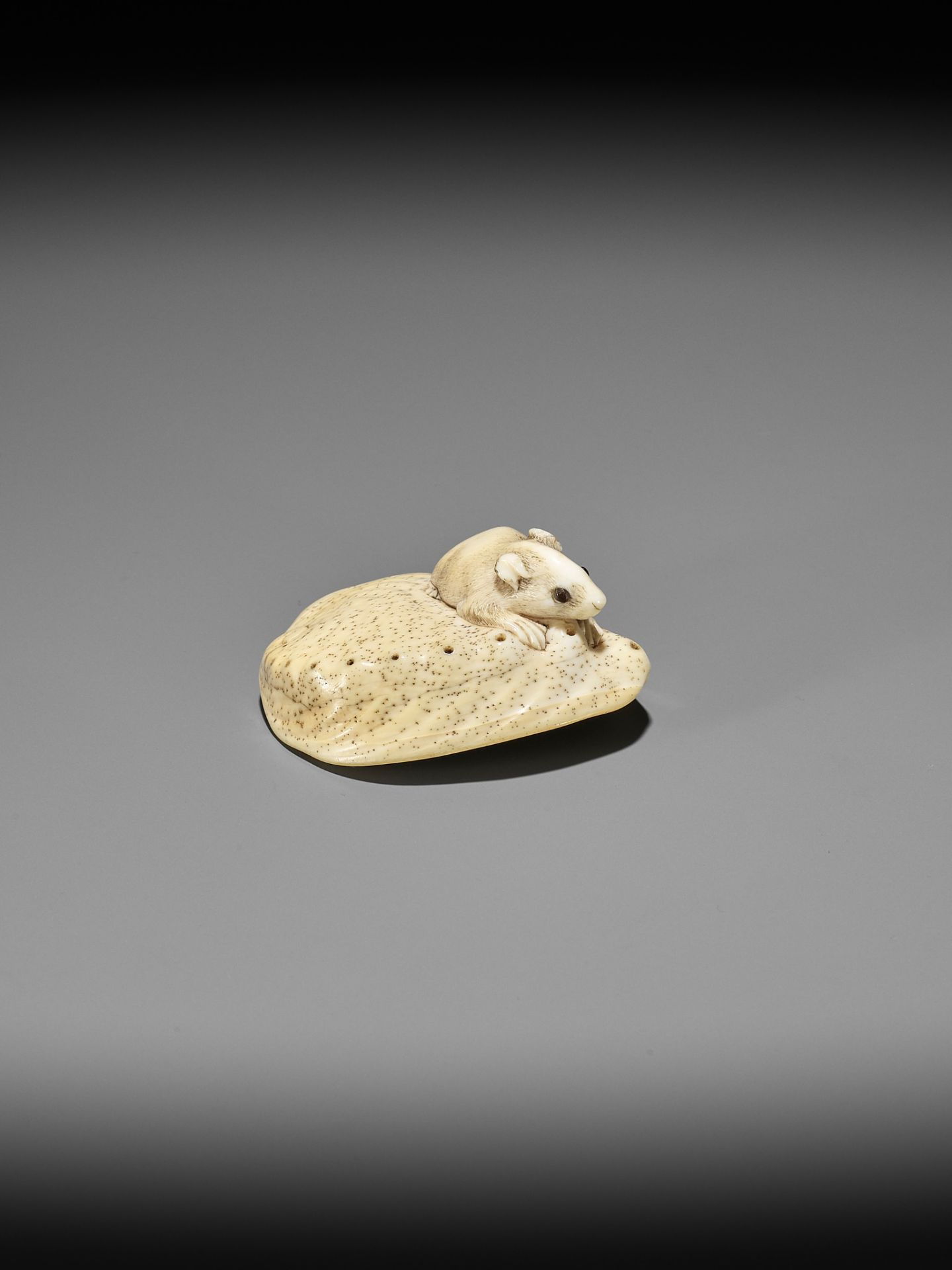 AN IVORY NETSUKE OF A RAT ON AWABI SHELL - Image 7 of 12