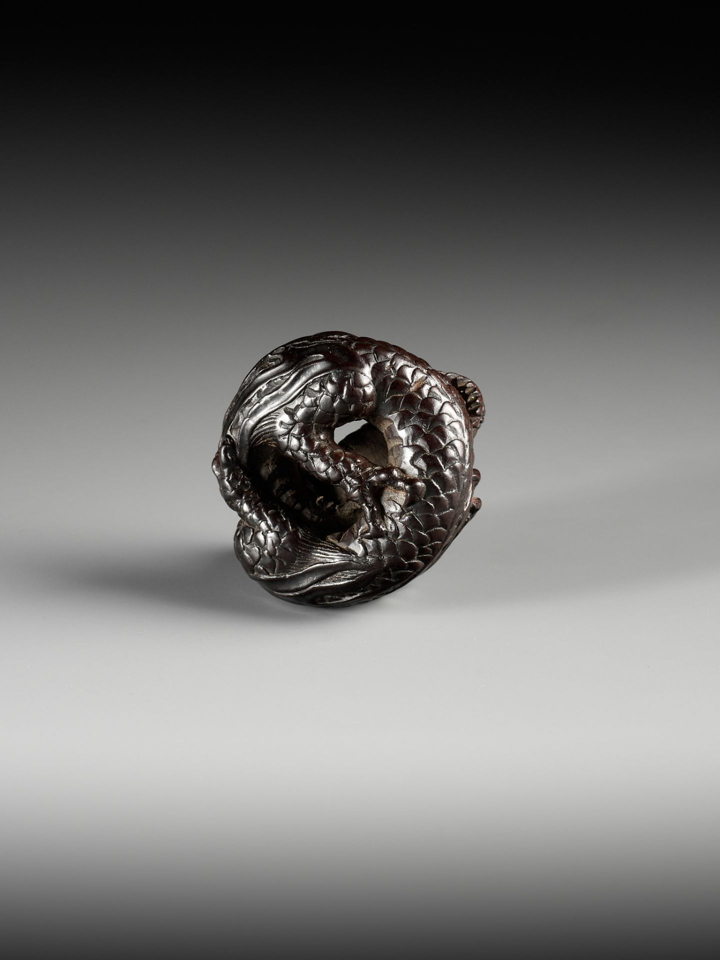 A SUPERB WOOD NETSUKE OF A COILED DRAGON, ATTRIBUTED TO TAMETAKA - Image 3 of 11