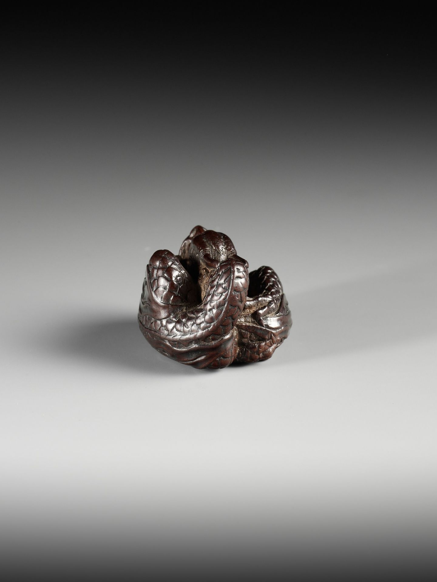 A SUPERB WOOD NETSUKE OF A COILED DRAGON, ATTRIBUTED TO TAMETAKA - Image 9 of 11