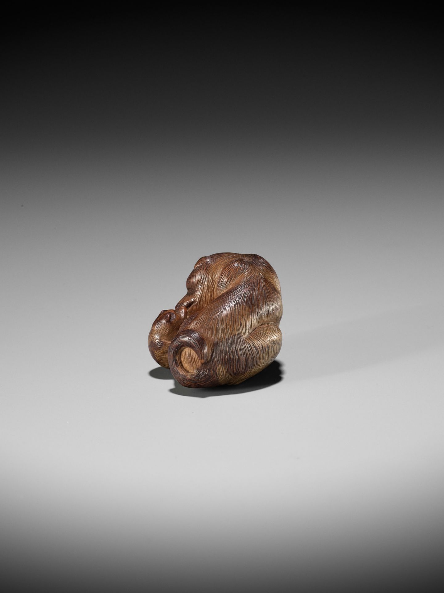 SHIGEHIRO: A CHARMING WOOD NETSUKE OF A DOG AND TWO PUPS - Bild 4 aus 13