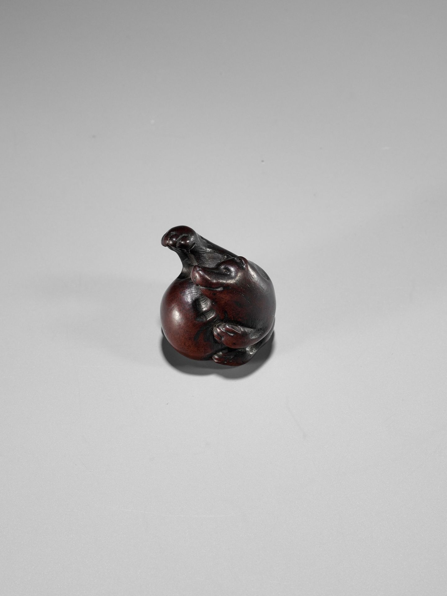 ITTAN: A WOOD NETSUKE DEPICTING TANUKI NO HARA TSUZUMI - Image 6 of 10