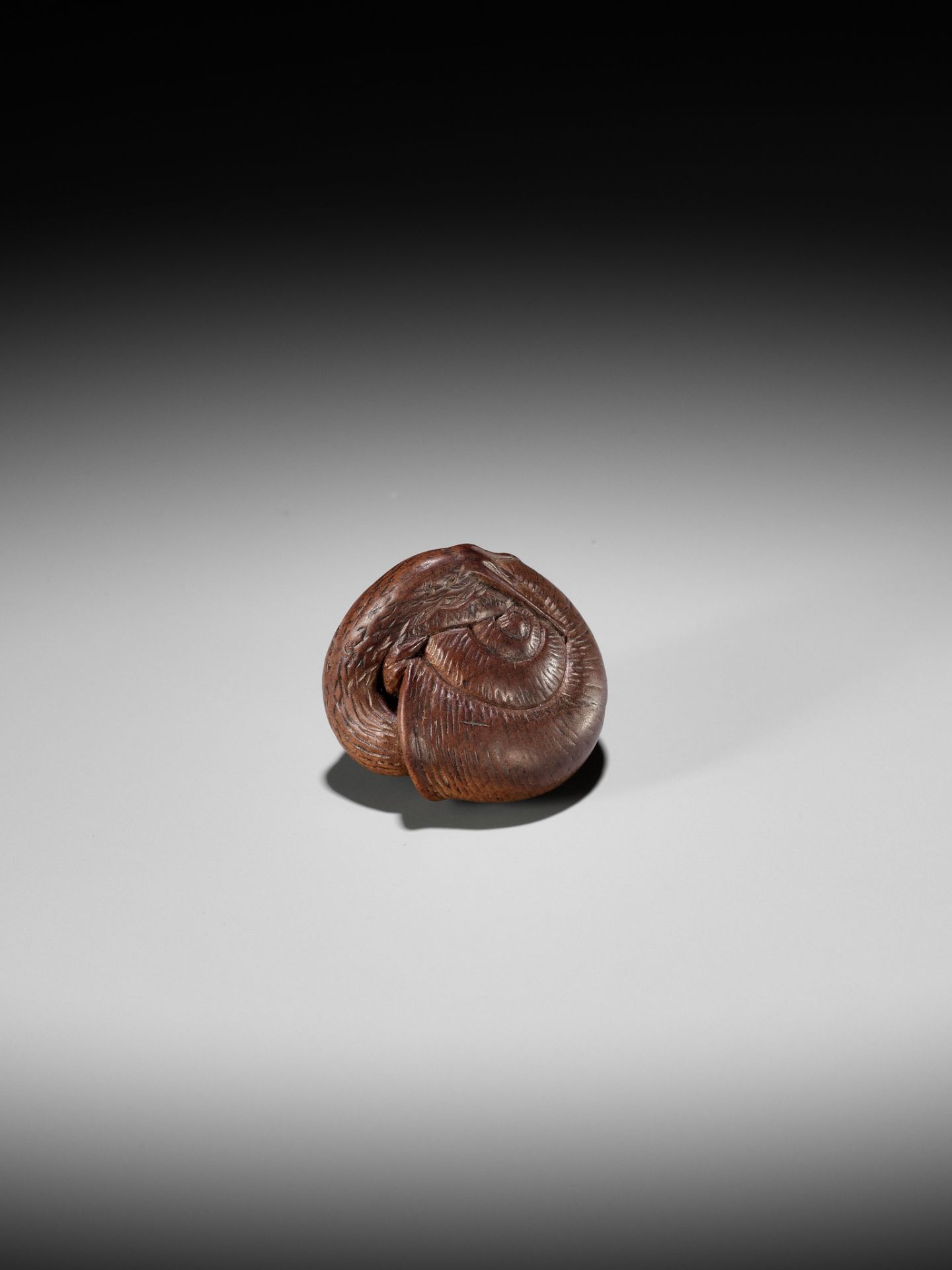 YASUTADA: A WOOD NETSUKE OF A SNAIL EMERGING FROM ITS SHELL - Image 2 of 13