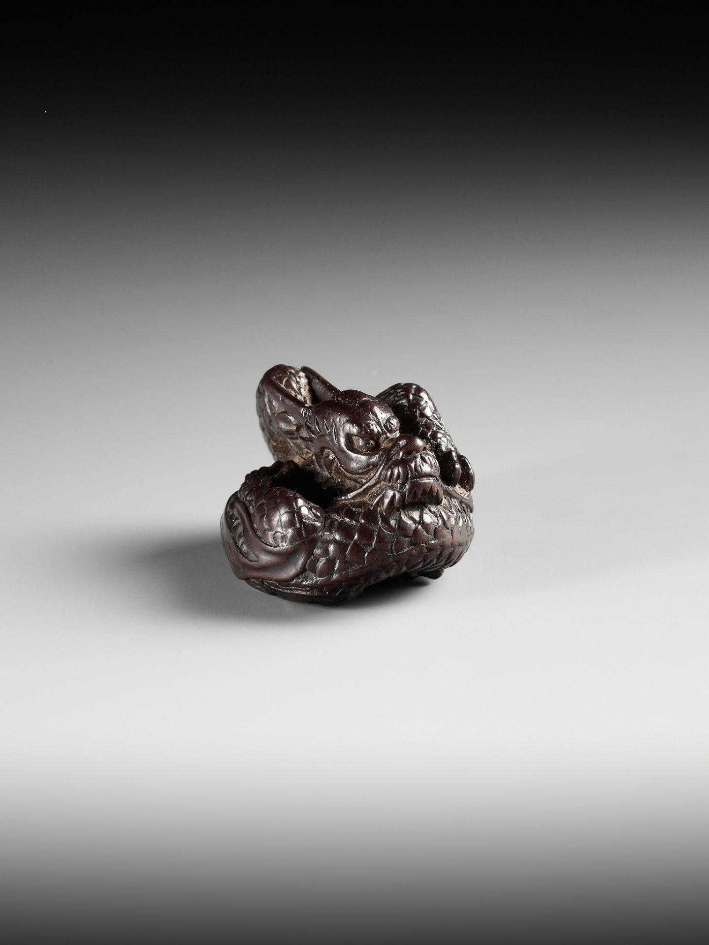 A SUPERB WOOD NETSUKE OF A COILED DRAGON, ATTRIBUTED TO TAMETAKA - Image 2 of 11