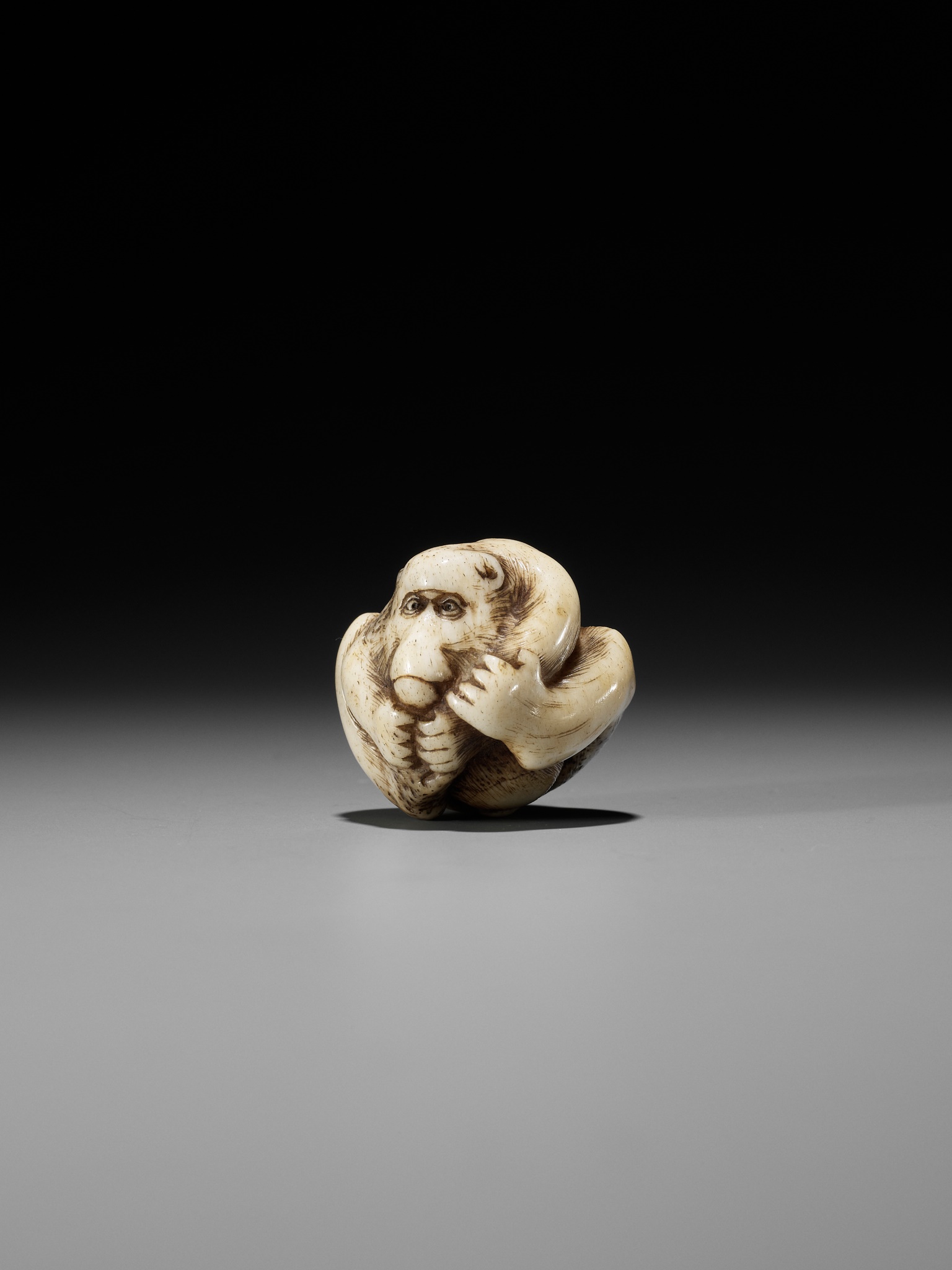 A RARE STAG ANTLER NETSUKE OF A COILED MONKEY - Image 3 of 10