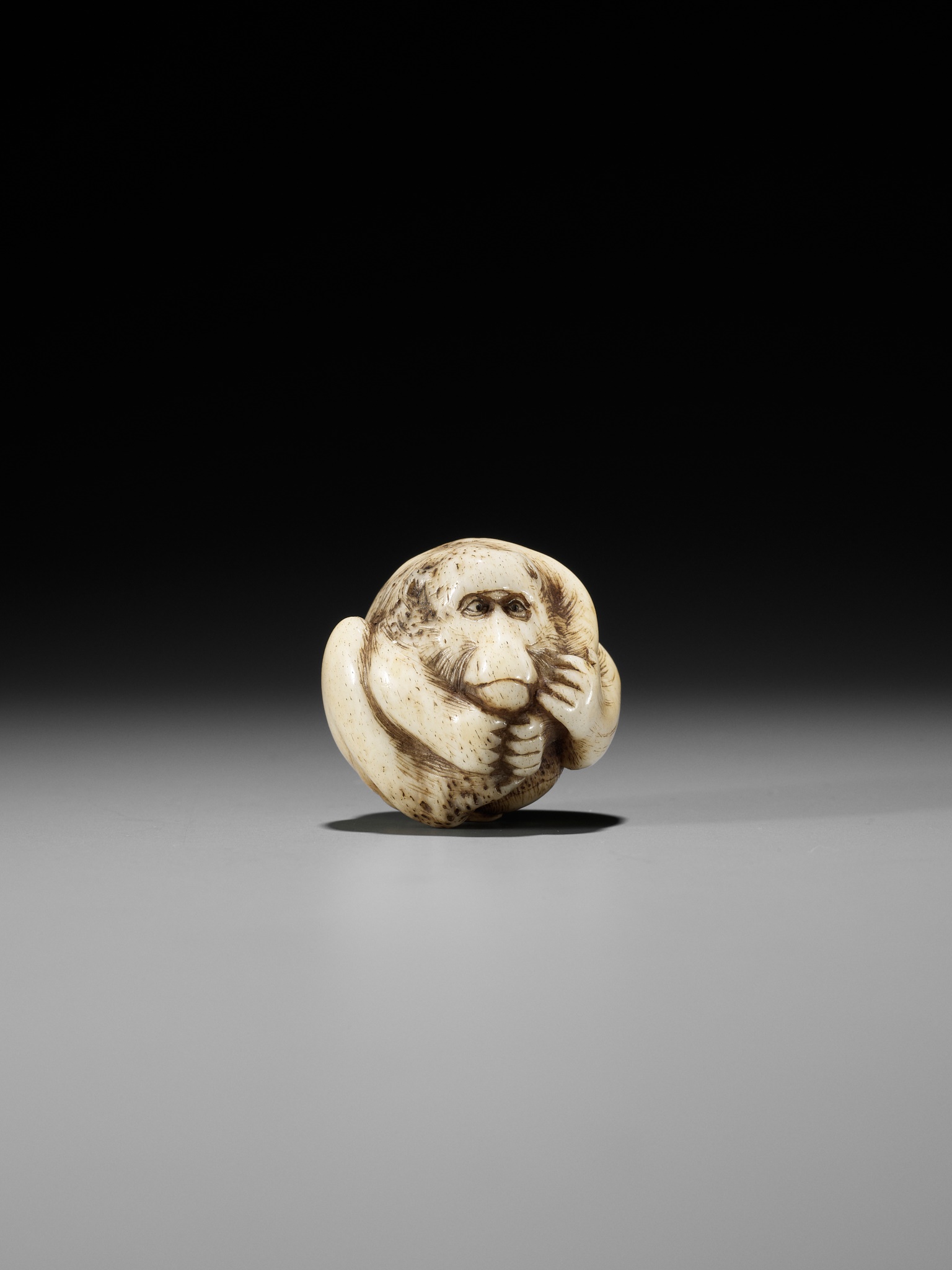 A RARE STAG ANTLER NETSUKE OF A COILED MONKEY - Image 8 of 10