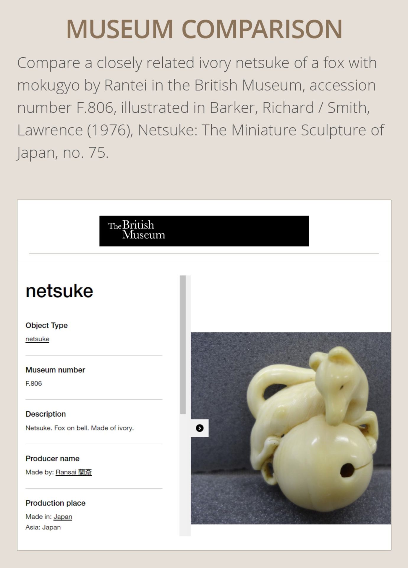 RANTEI: A FINE IVORY NETSUKE OF A FOX WITH TEMPLE BELL - Image 5 of 12