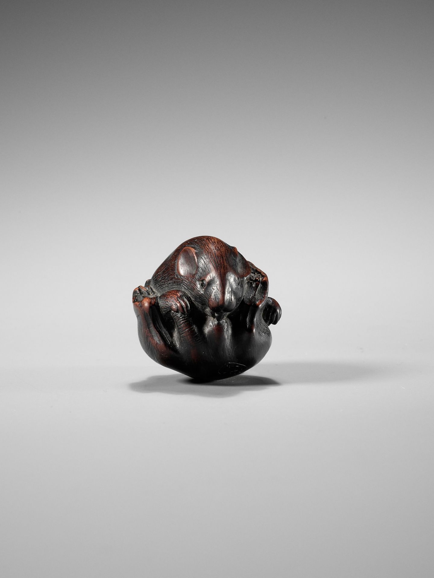 MINICHI: A RARE NAGOYA SCHOOL WOOD NETSUKE OF A COILED RAT LICKING ITSELF - Image 4 of 10