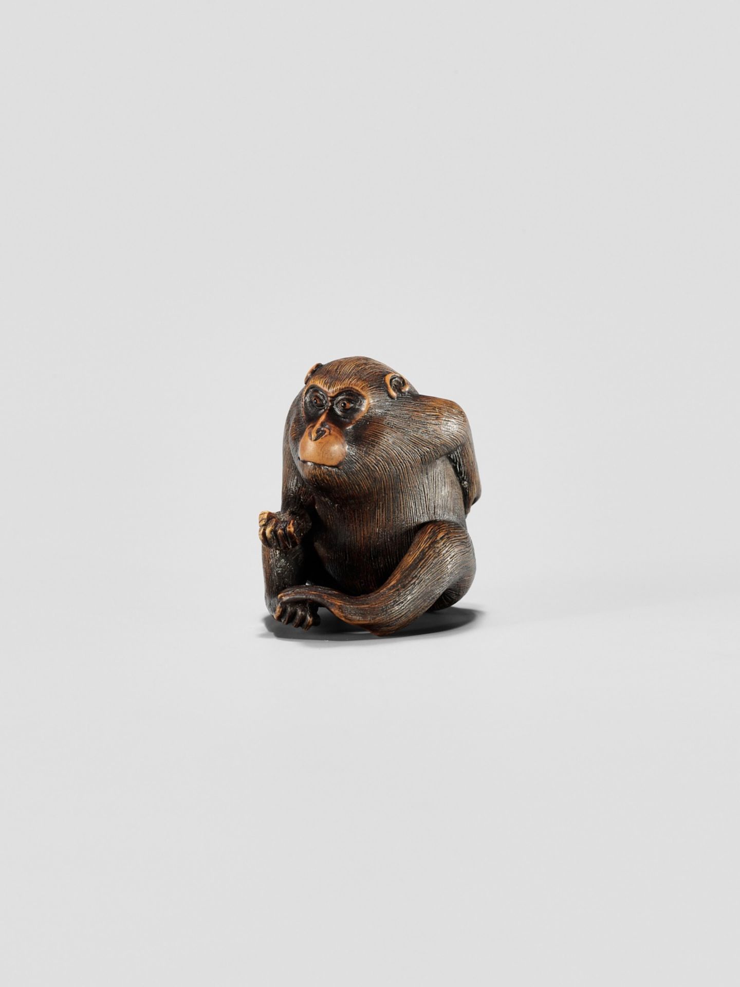 KAZUMASA: A WOOD NETSUKE OF A MONKEY PICKING FLEAS - Image 9 of 11