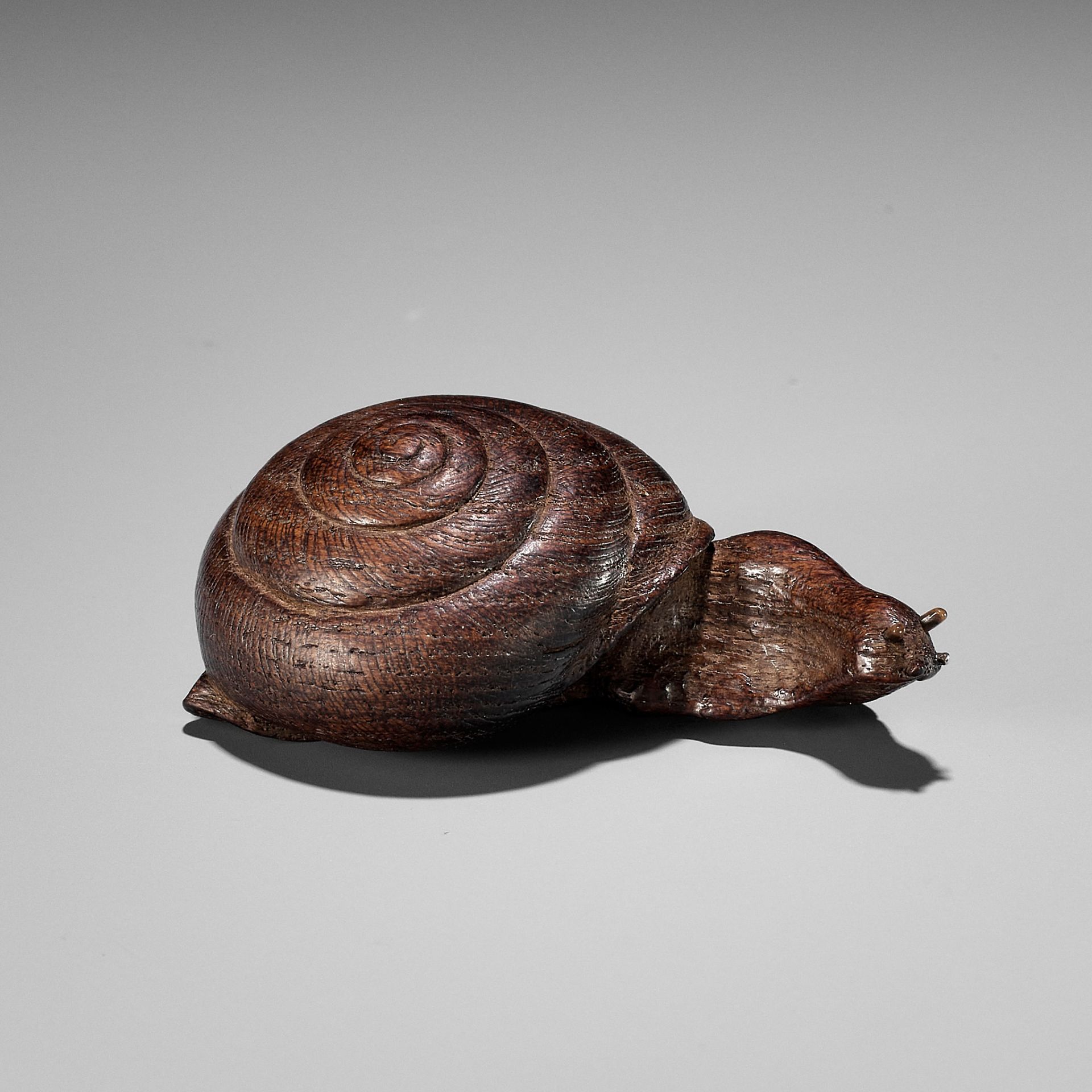 YUZAN: AN UNUSUAL WOOD NETSUKE OF A SNAIL EMERGING FROM ITS SHELL