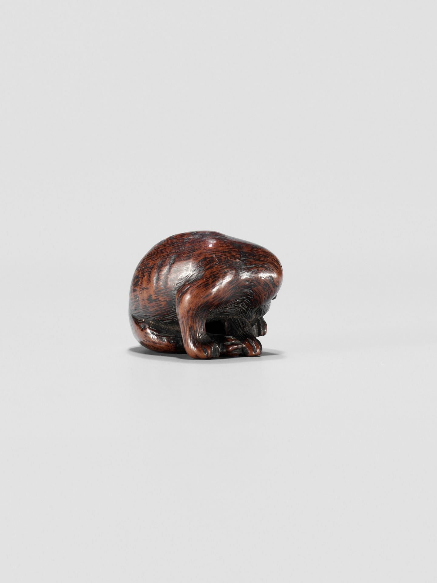 A WOOD NETSUKE OF A PUPPY - Image 6 of 10