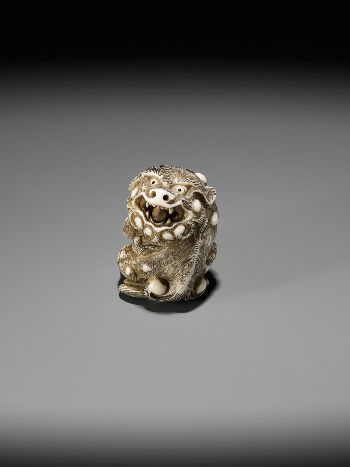 A POWERFUL IVORY NETSUKE OF A SNARLING SHISHI WITH BALL, ATTRIBUTED TO MITSUHARU - Image 6 of 14