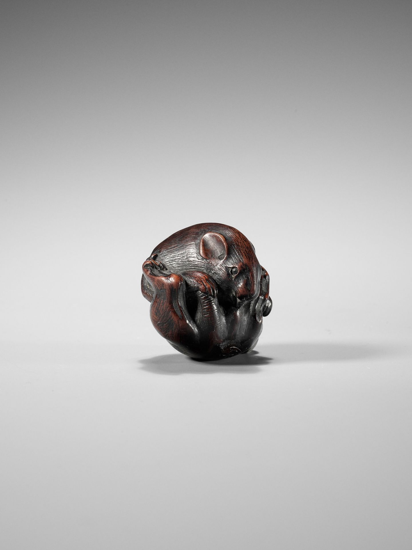 MINICHI: A RARE NAGOYA SCHOOL WOOD NETSUKE OF A COILED RAT LICKING ITSELF - Image 2 of 10