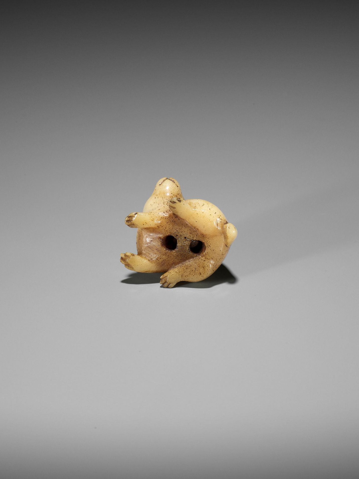 A CHARMING STAG ANTLER NETSUKE OF A HARE - Image 9 of 10