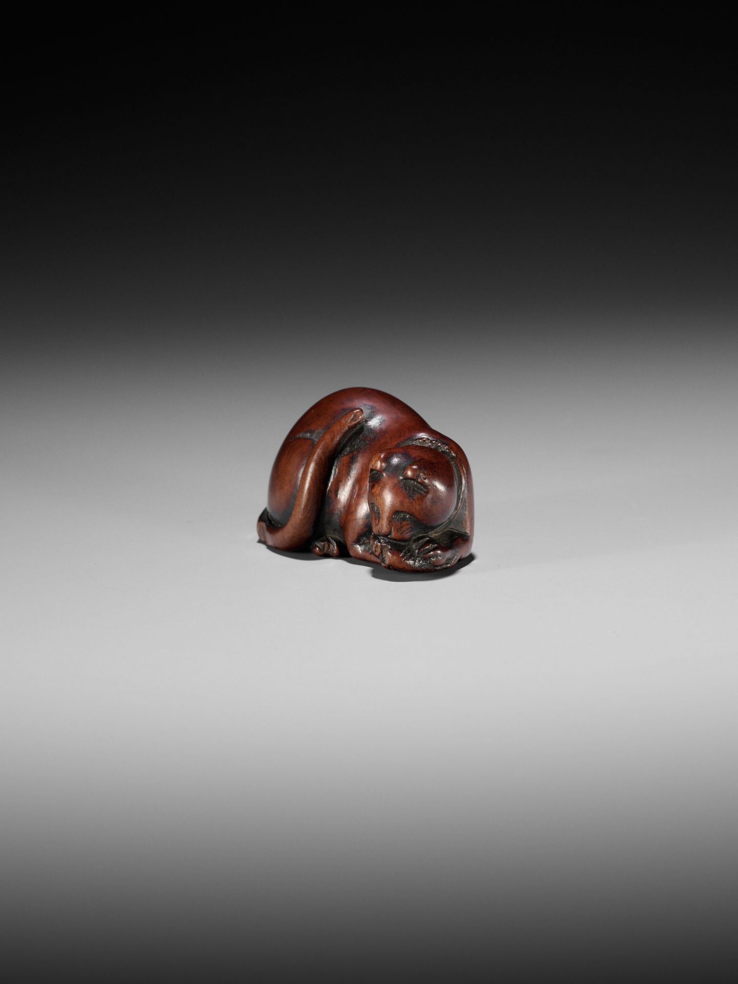 AN EARLY WOOD NETSUKE OF A CAT DEVOURING A FISH - Image 3 of 8