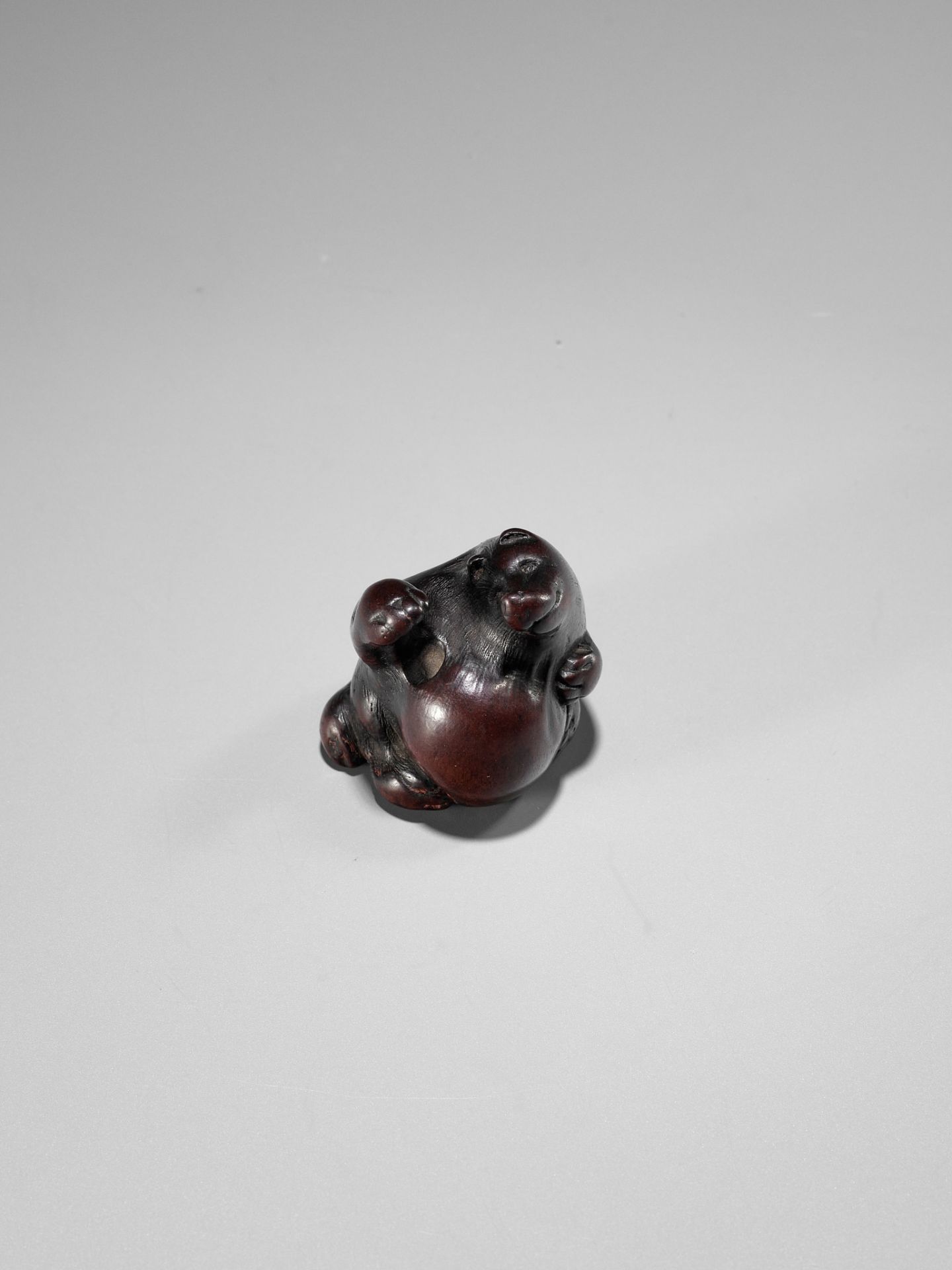 ITTAN: A WOOD NETSUKE DEPICTING TANUKI NO HARA TSUZUMI - Image 8 of 10