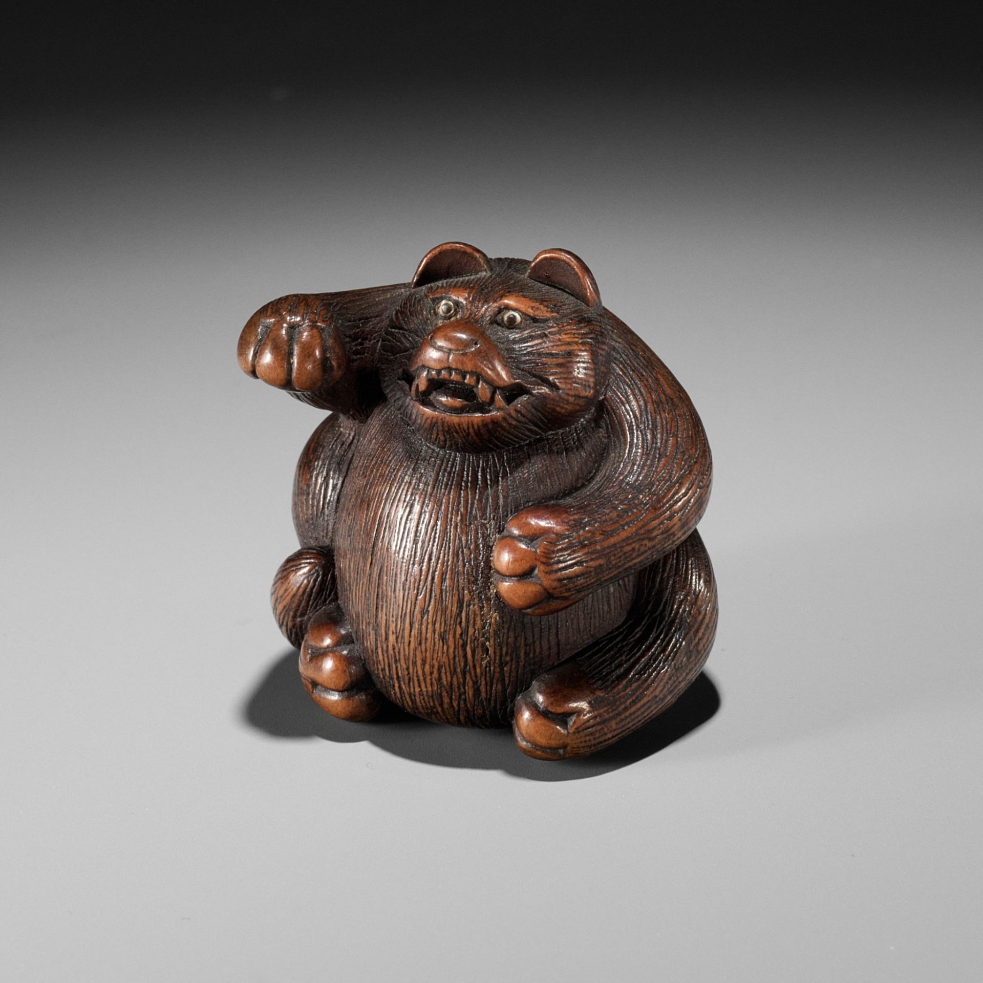 MINKO: A WOOD NETSUKE OF TANUKI HARA NO TSUZUMI