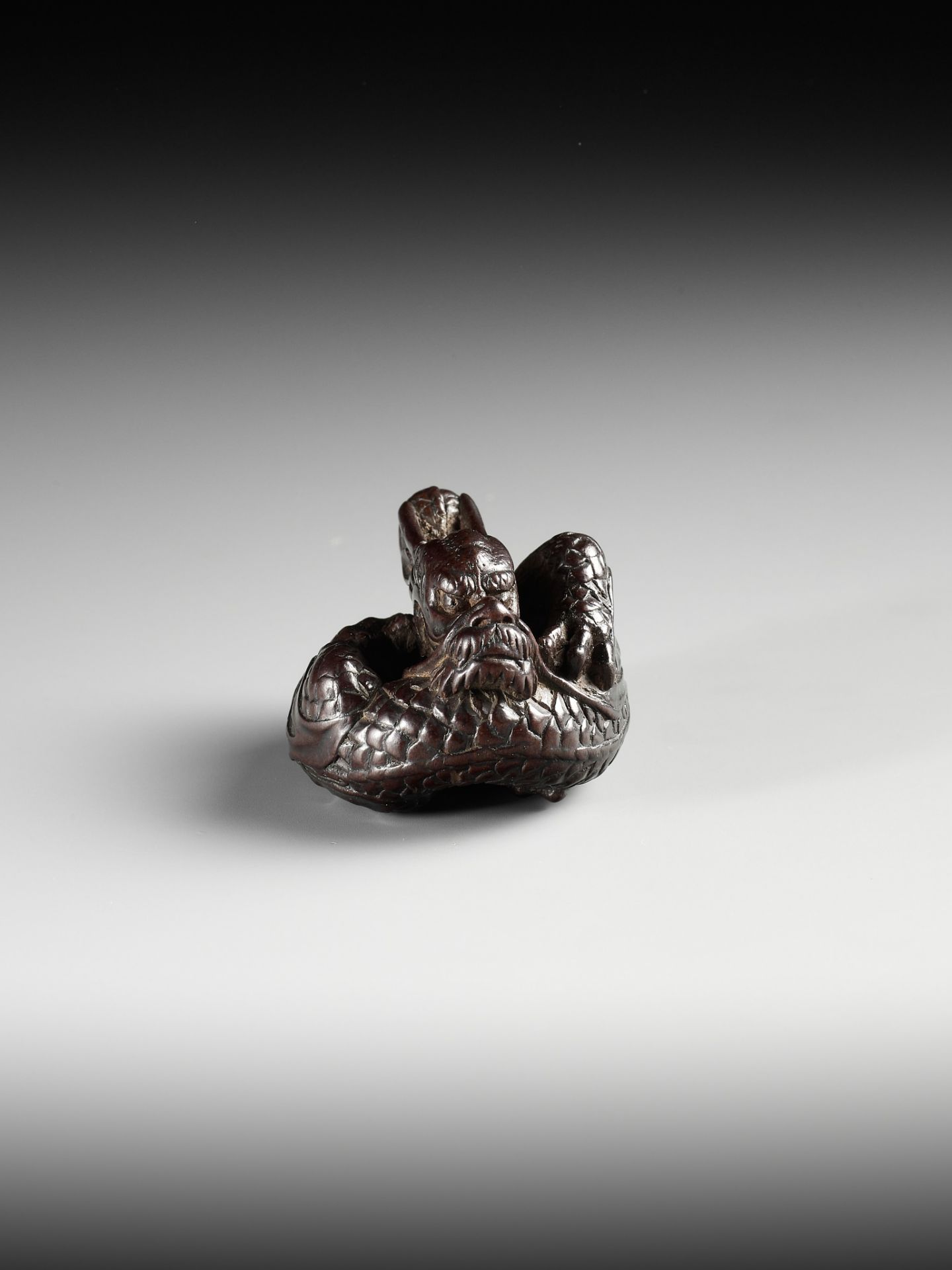 A SUPERB WOOD NETSUKE OF A COILED DRAGON, ATTRIBUTED TO TAMETAKA - Image 6 of 11