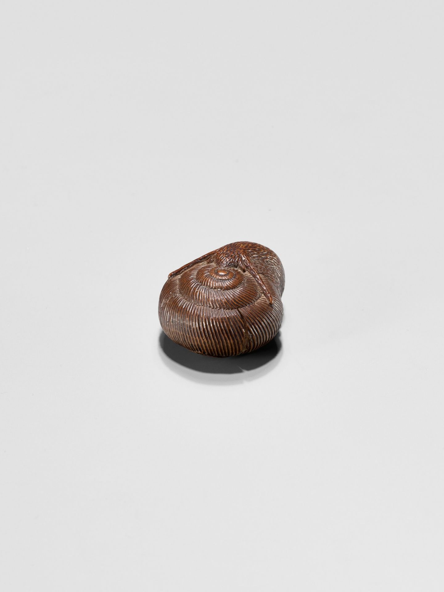 SARI: A FINE WOOD NETSUKE OF A SNAIL EMERGING FROM ITS SHELL - Image 3 of 12