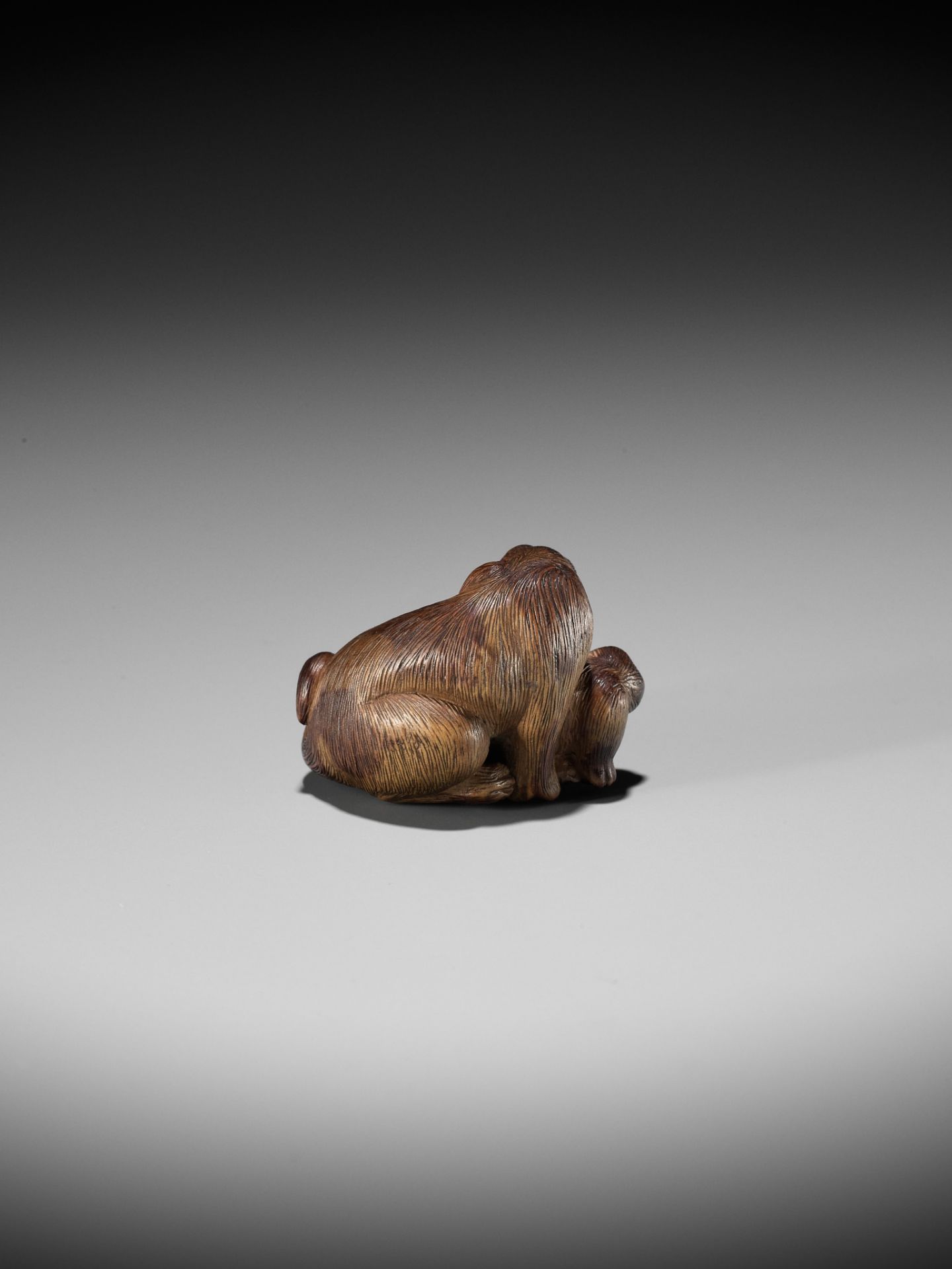 SHIGEHIRO: A CHARMING WOOD NETSUKE OF A DOG AND TWO PUPS - Bild 6 aus 13