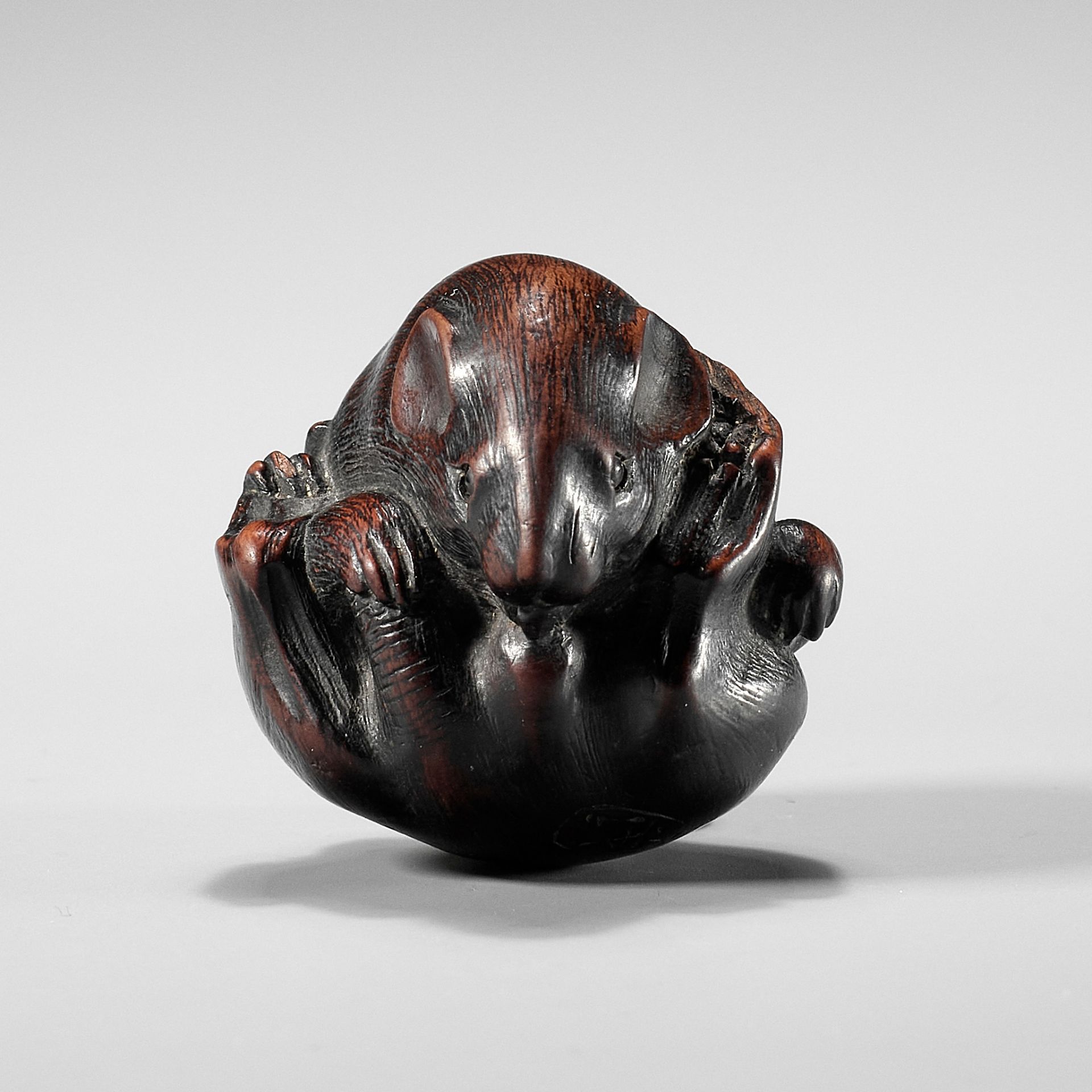 MINICHI: A RARE NAGOYA SCHOOL WOOD NETSUKE OF A COILED RAT LICKING ITSELF