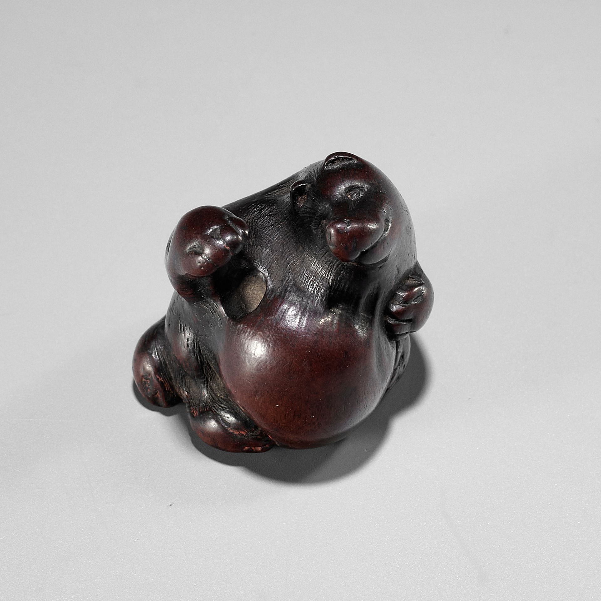 ITTAN: A WOOD NETSUKE DEPICTING TANUKI NO HARA TSUZUMI