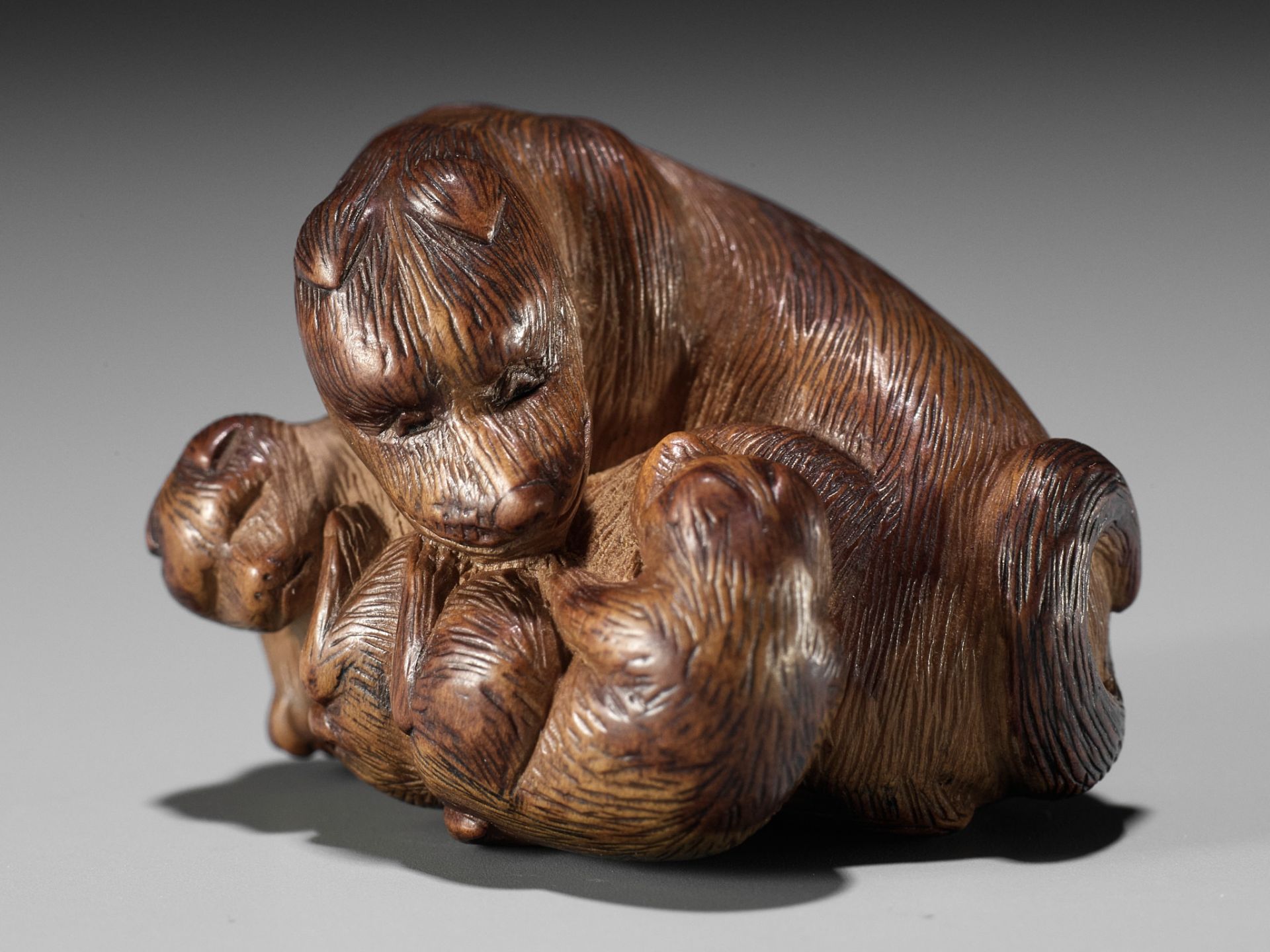 SHIGEHIRO: A CHARMING WOOD NETSUKE OF A DOG AND TWO PUPS - Bild 12 aus 13