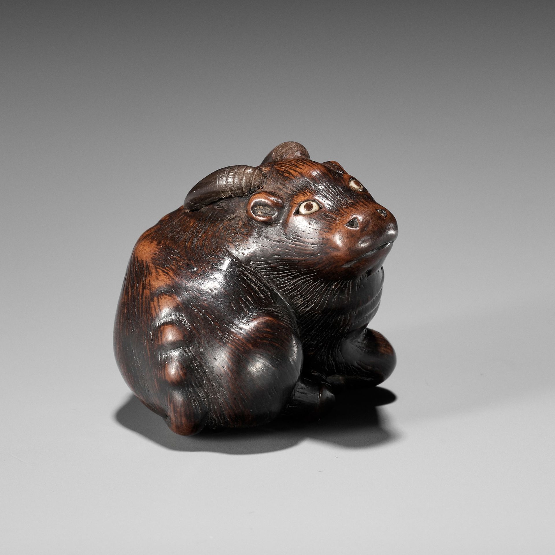 MASAKAZU: A FINE WOOD NETSUKE OF A RECUMBENT GOAT