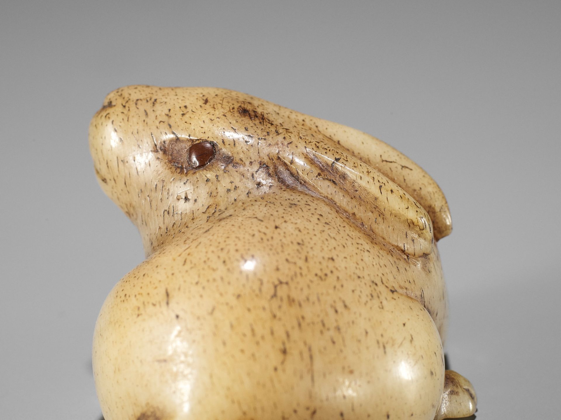 A CHARMING STAG ANTLER NETSUKE OF A HARE - Image 10 of 10