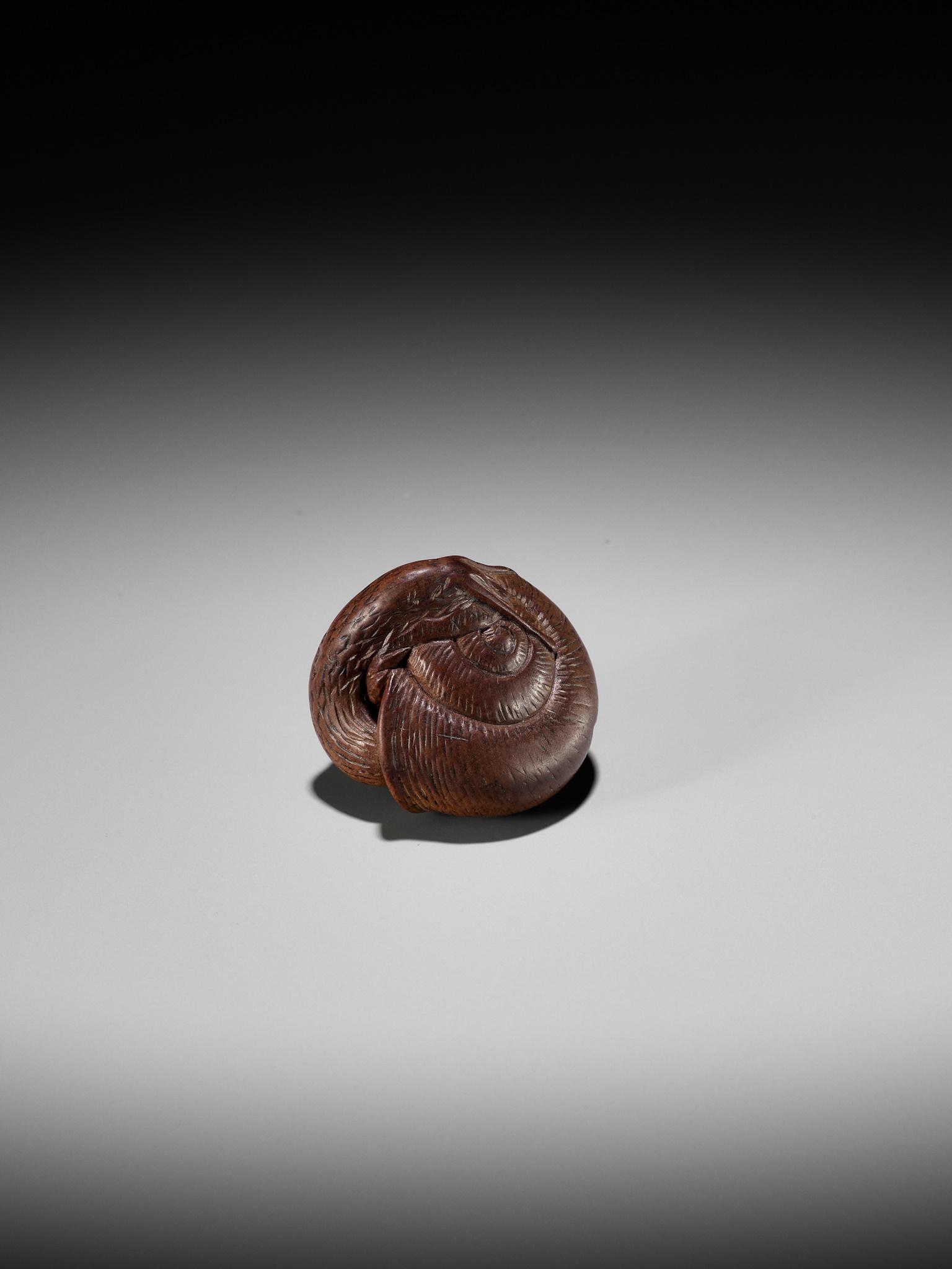 YASUTADA: A WOOD NETSUKE OF A SNAIL EMERGING FROM ITS SHELL - Image 9 of 13