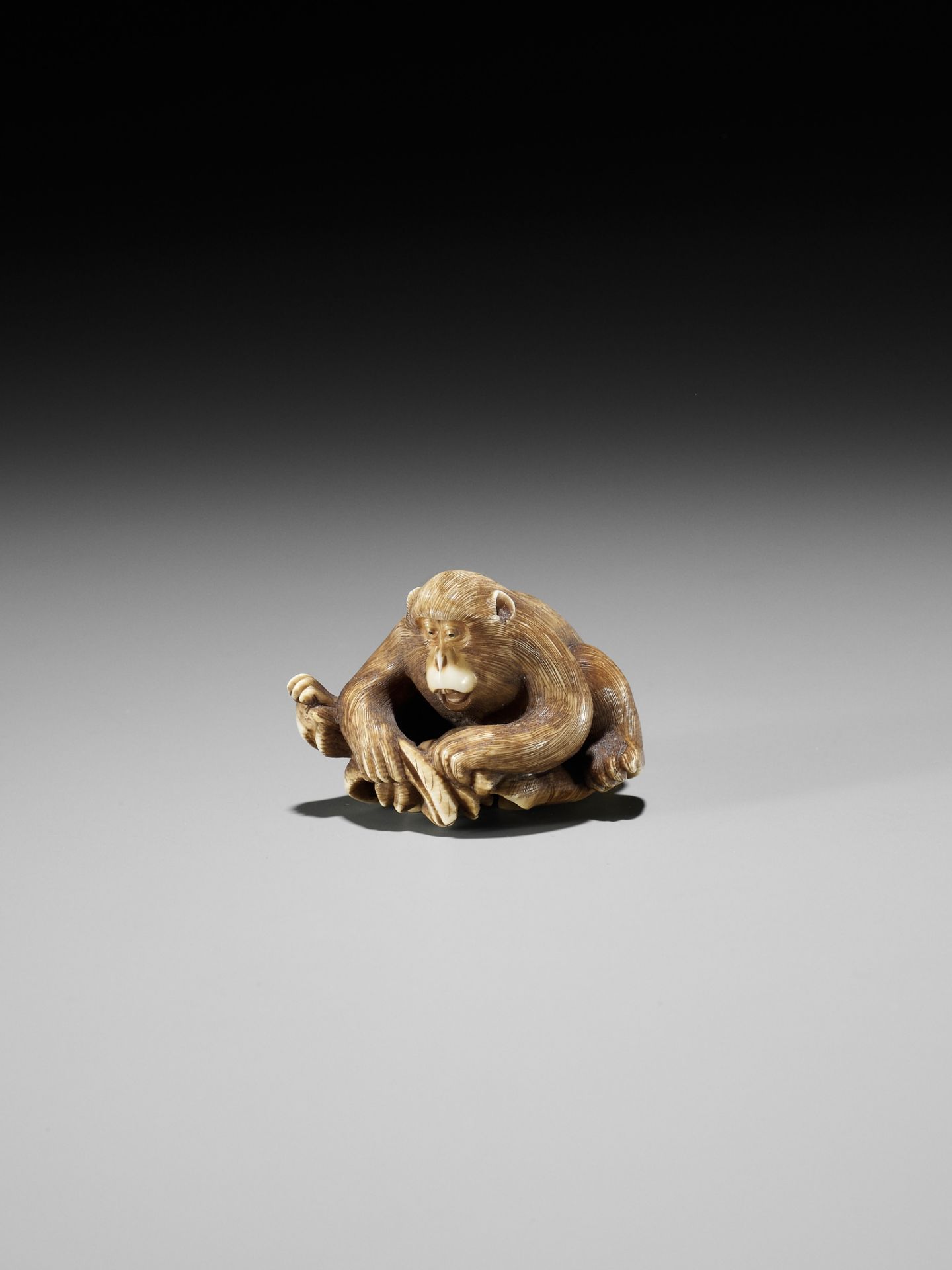 AN IVORY NETSUKE OF A MONKEY, CRAB AND LOTUS - Bild 9 aus 10