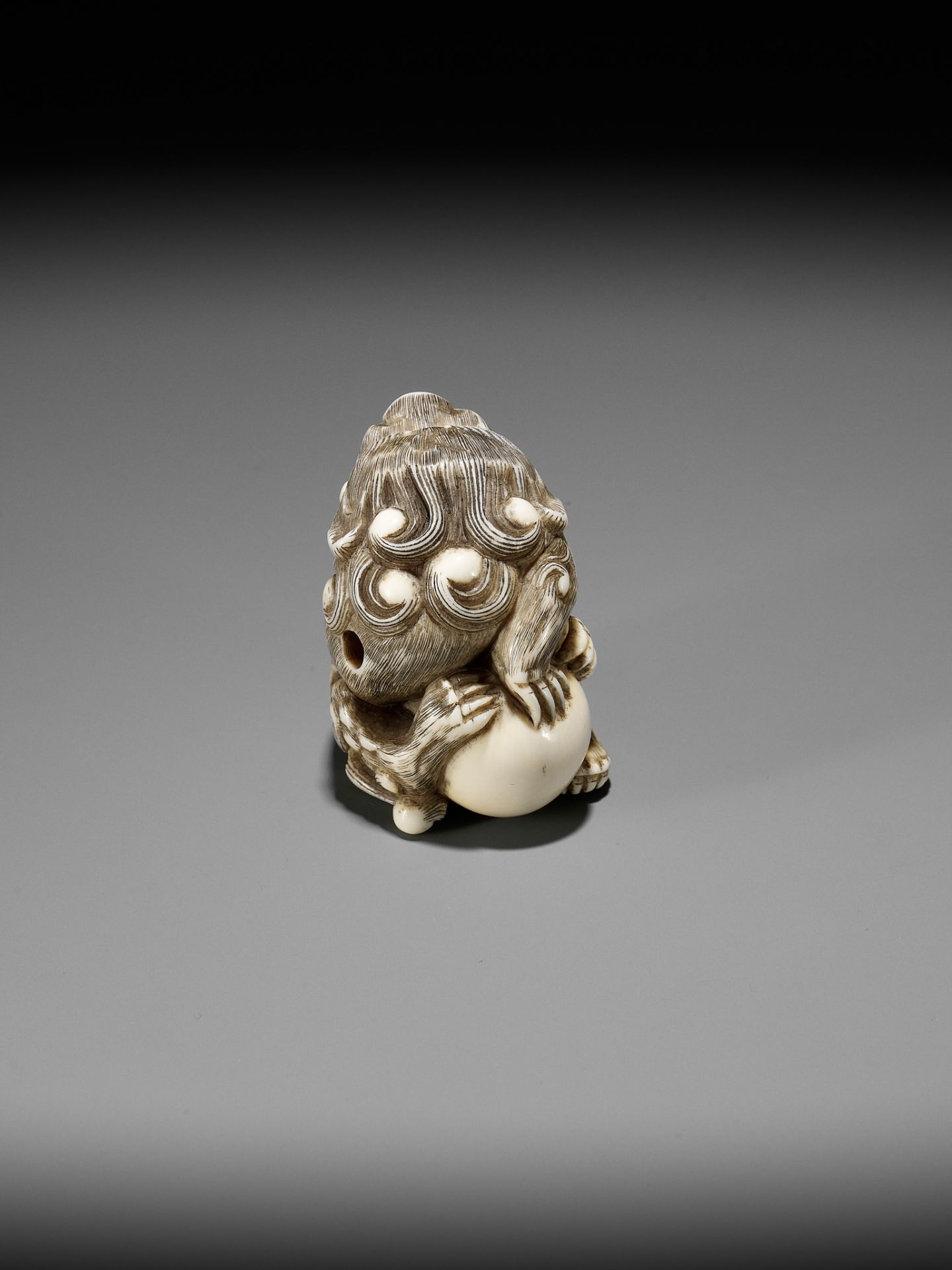 A POWERFUL IVORY NETSUKE OF A SNARLING SHISHI WITH BALL, ATTRIBUTED TO MITSUHARU - Image 9 of 14