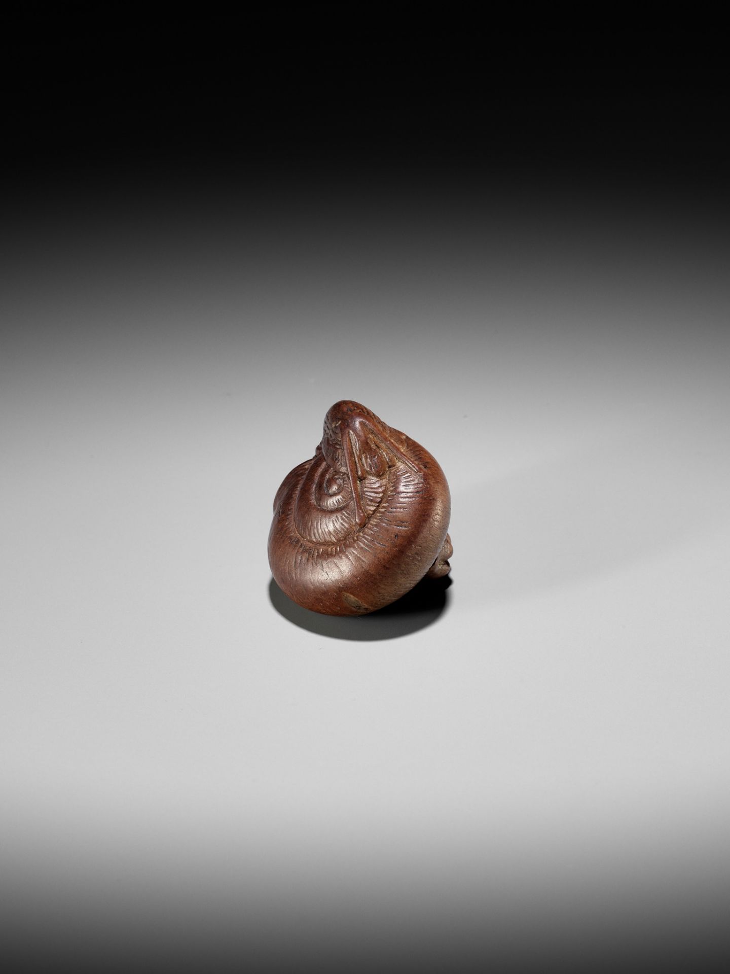 YASUTADA: A WOOD NETSUKE OF A SNAIL EMERGING FROM ITS SHELL - Image 3 of 13