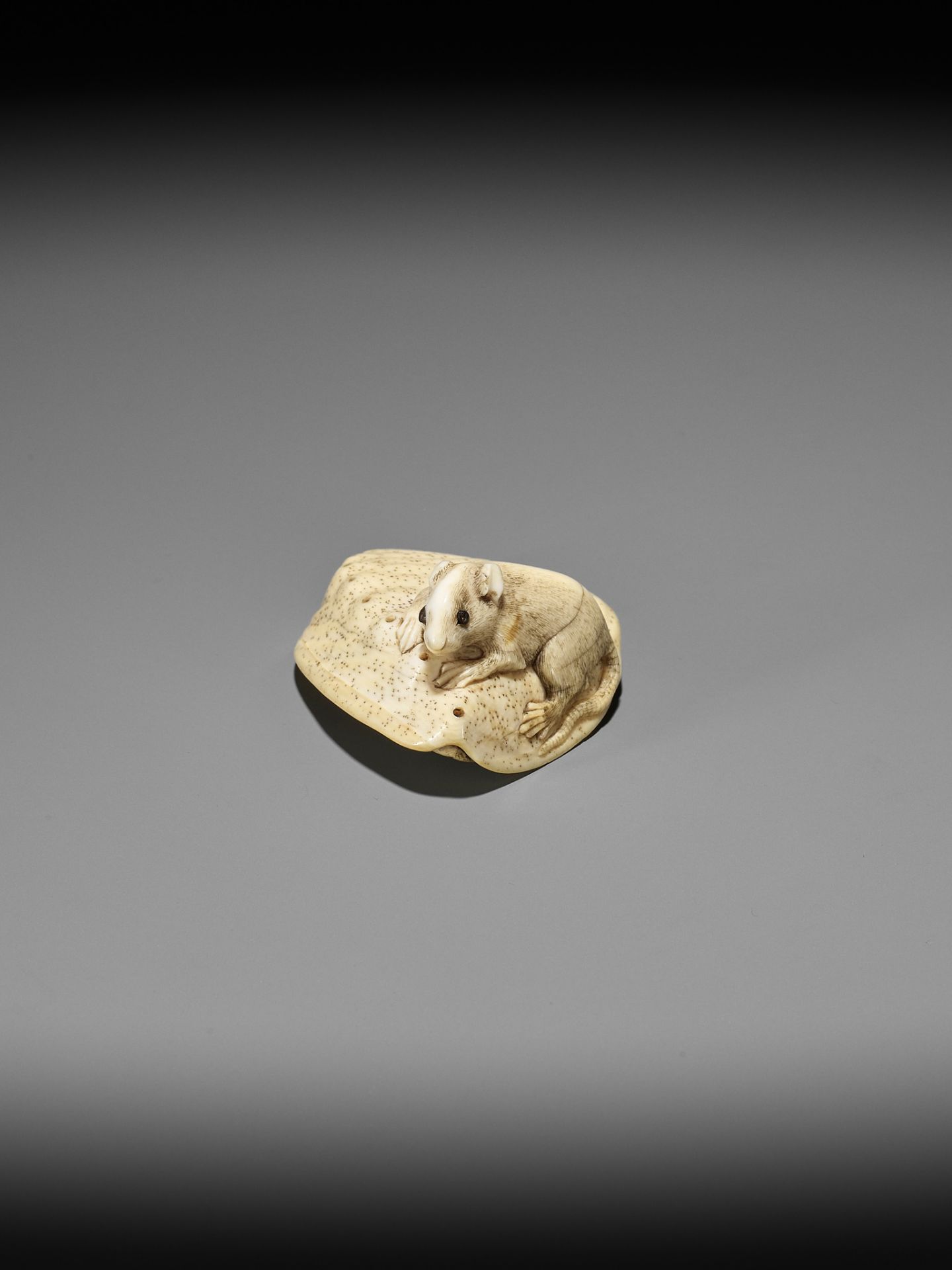 AN IVORY NETSUKE OF A RAT ON AWABI SHELL - Image 2 of 12