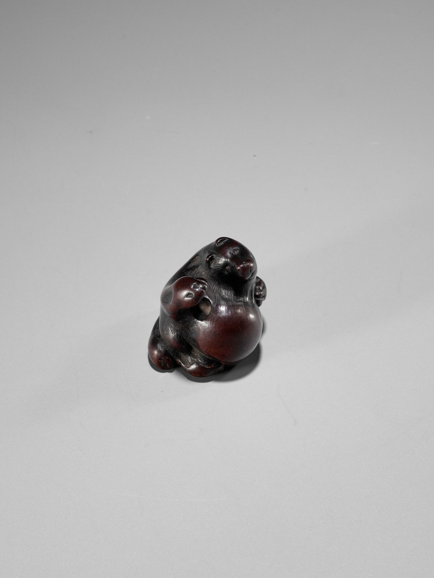 ITTAN: A WOOD NETSUKE DEPICTING TANUKI NO HARA TSUZUMI - Image 4 of 10