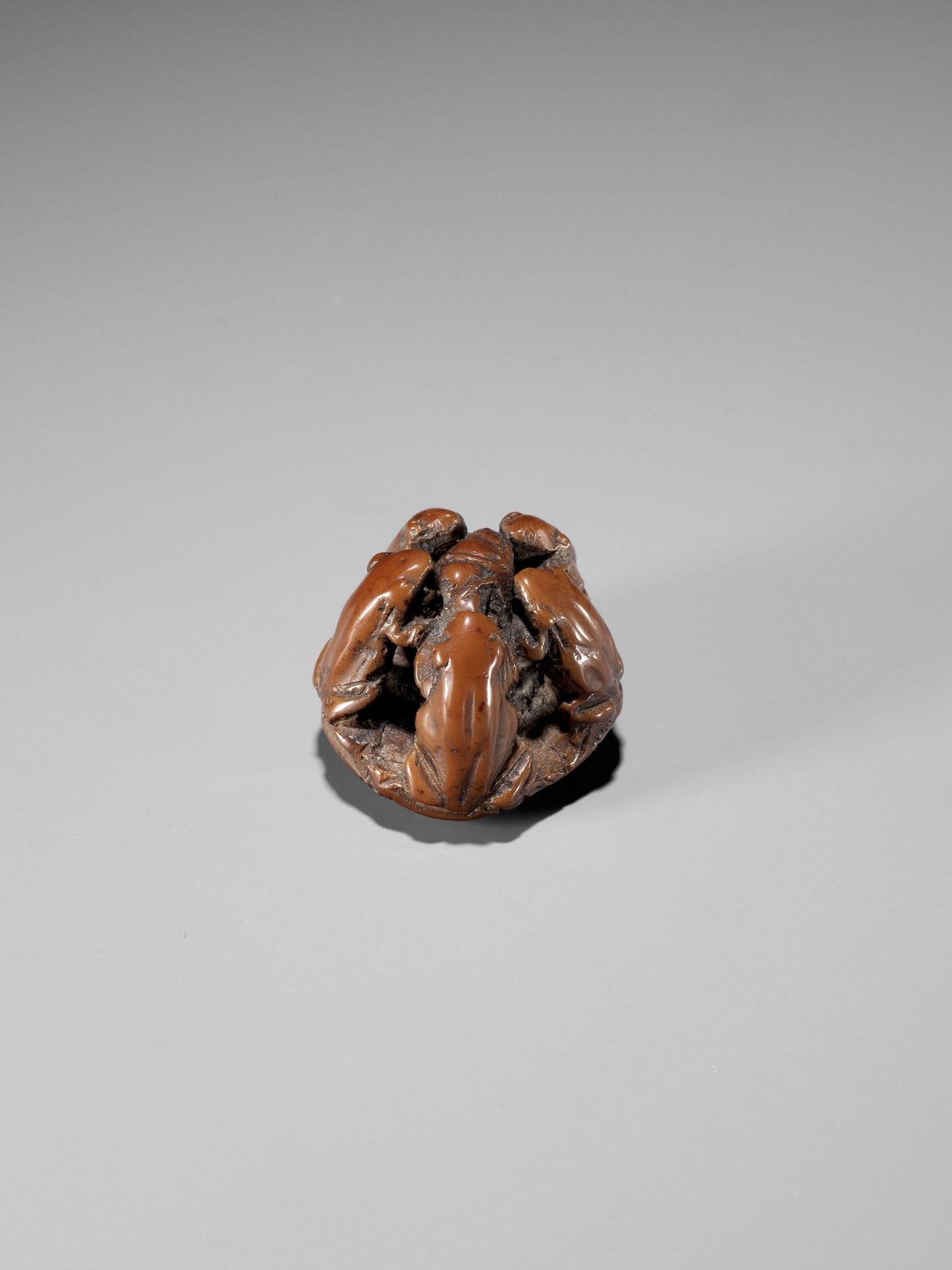A RARE NUT NETSUKE OF FIVE FROGS ON A LOTUS LEAF, ATTRIBUTED TO SEIMIN - Image 9 of 9
