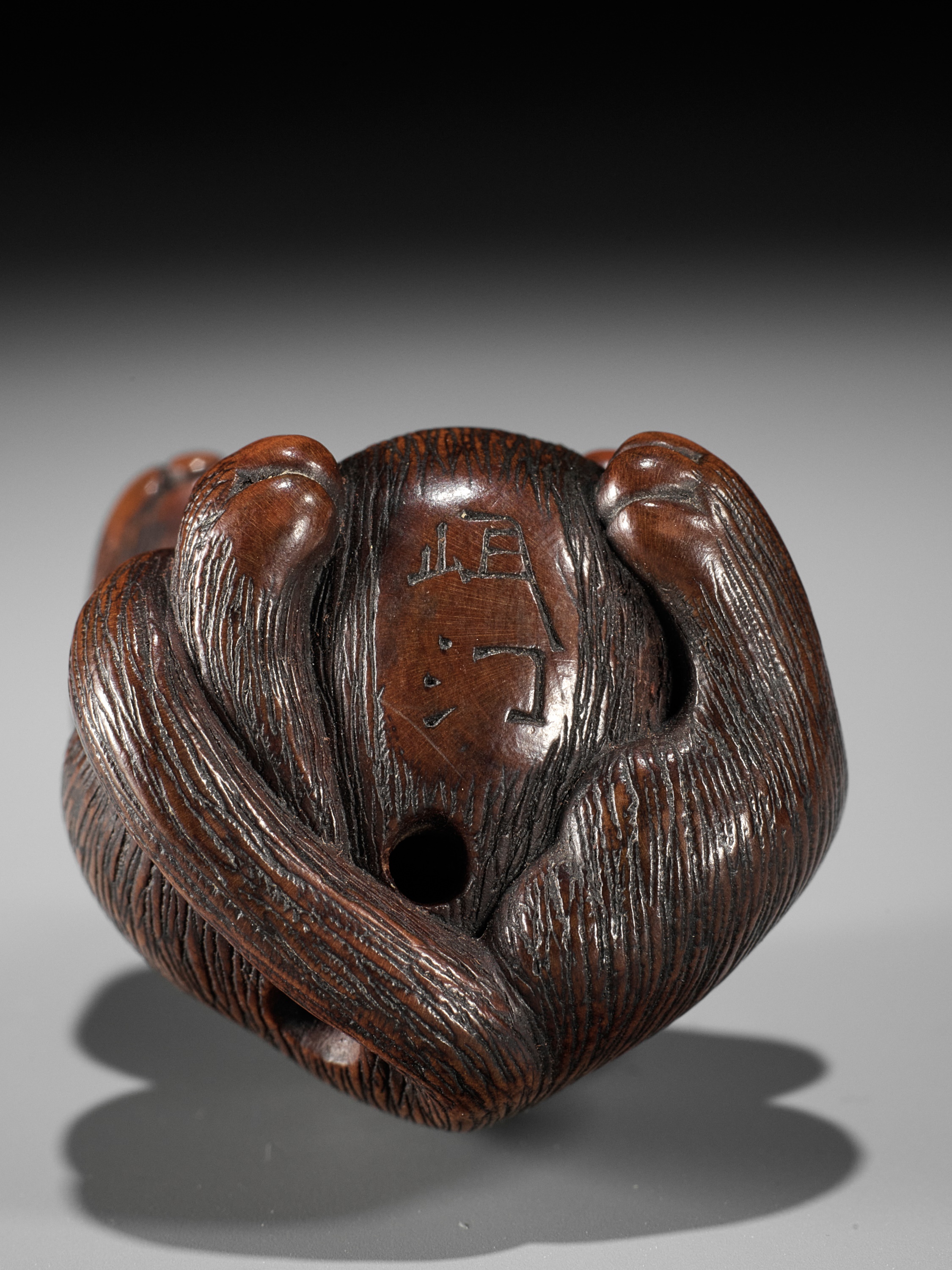 MINKO: A WOOD NETSUKE OF TANUKI HARA NO TSUZUMI - Image 11 of 11