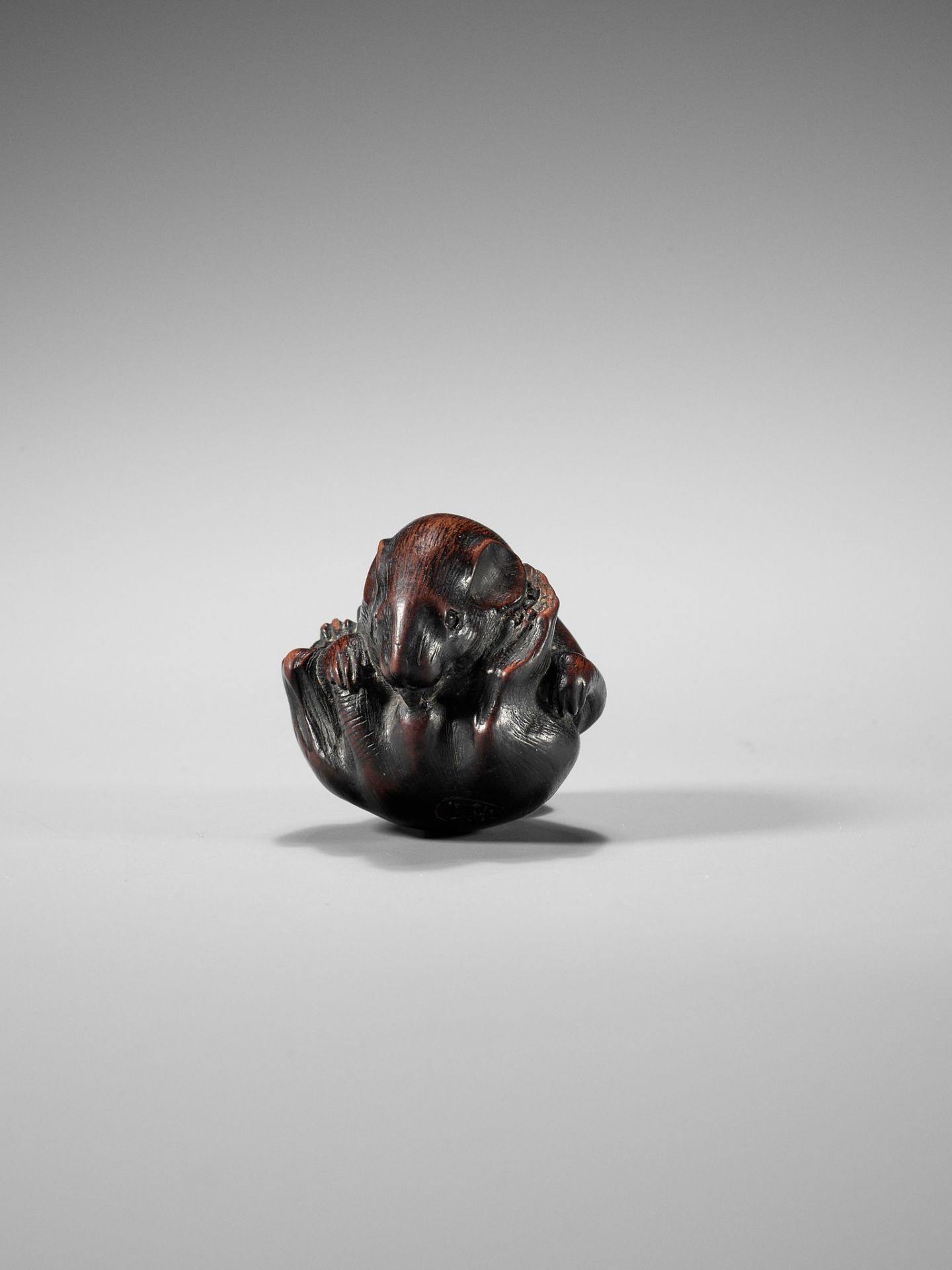 MINICHI: A RARE NAGOYA SCHOOL WOOD NETSUKE OF A COILED RAT LICKING ITSELF - Image 3 of 10